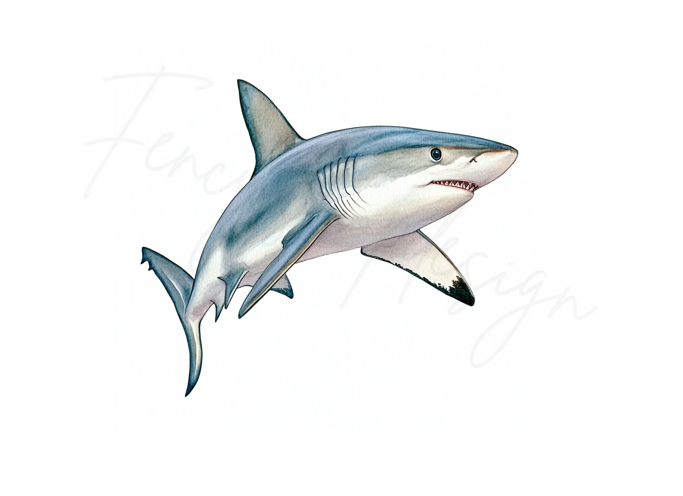 Mako Shark Clipart Bundle - Image 2