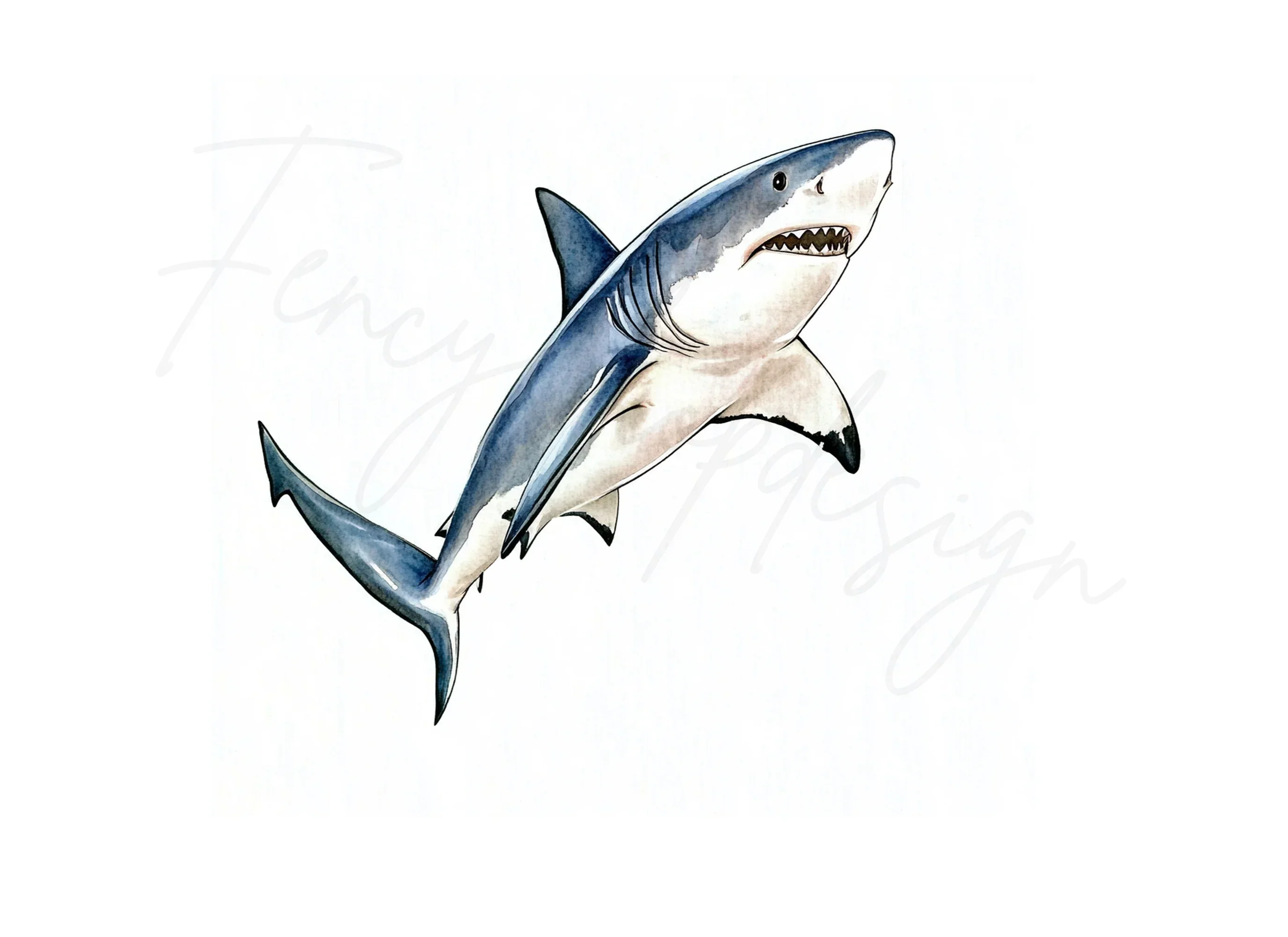 Mako Shark Clipart Bundle - Image 3