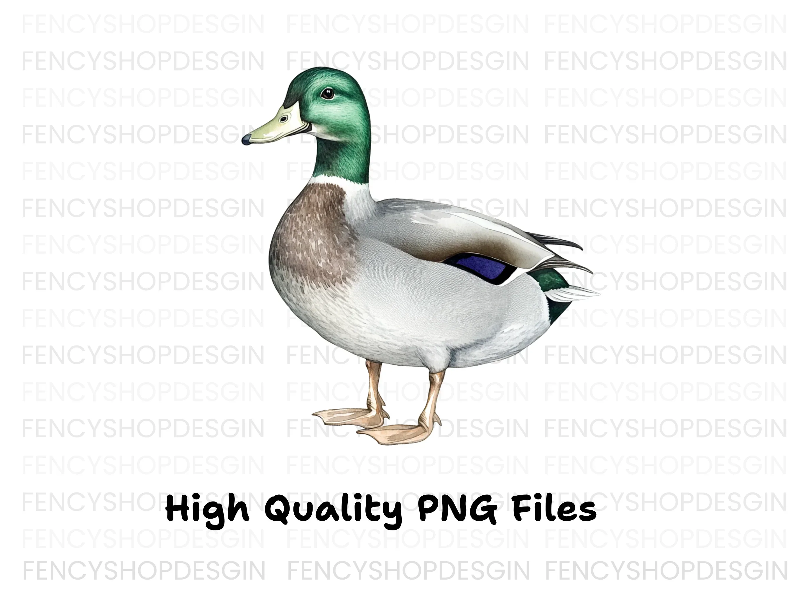 Mallard Duck Clipart Bundle - Image 3