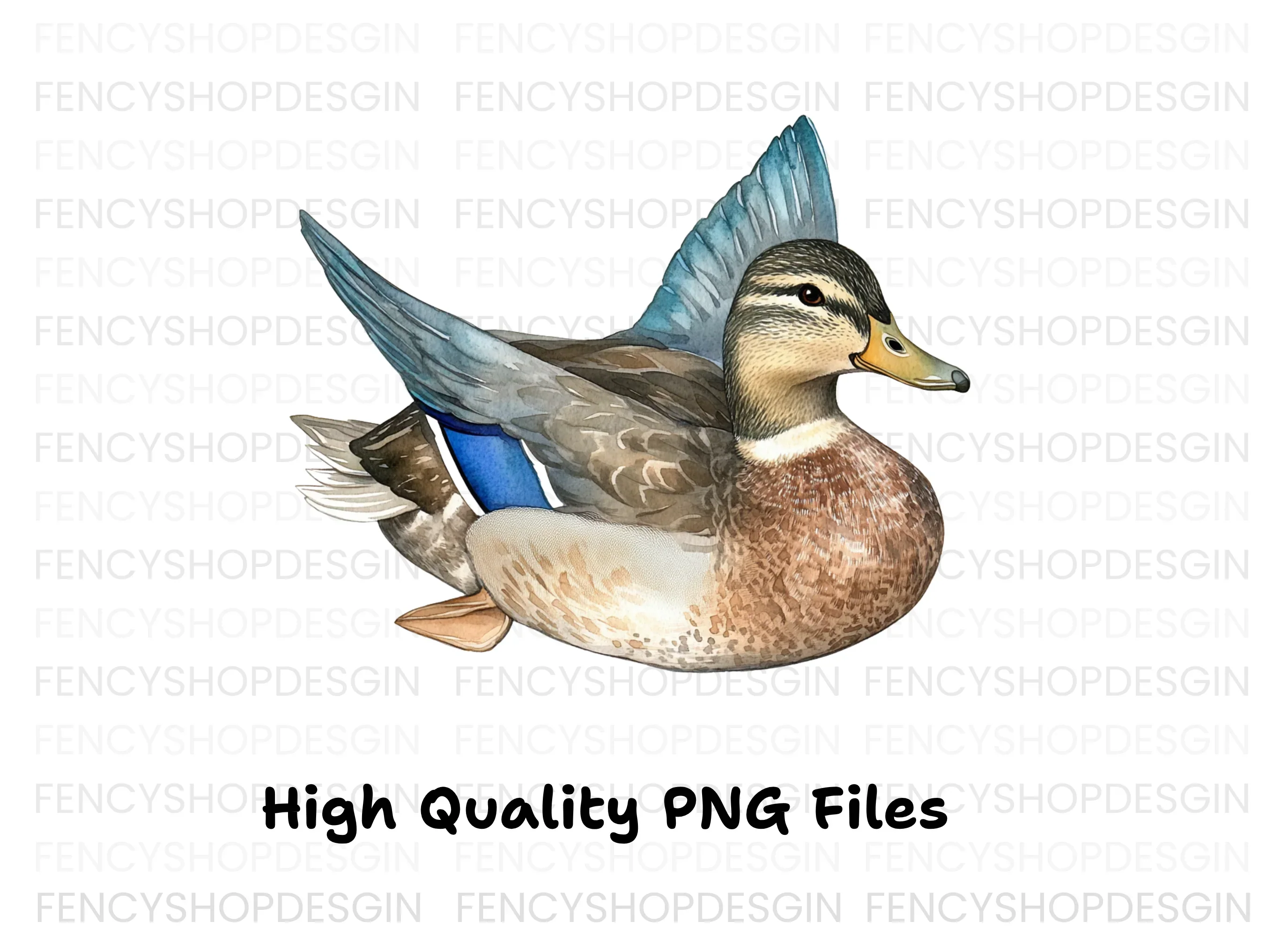 Mallard Duck Female Clipart Bundle - Image 3