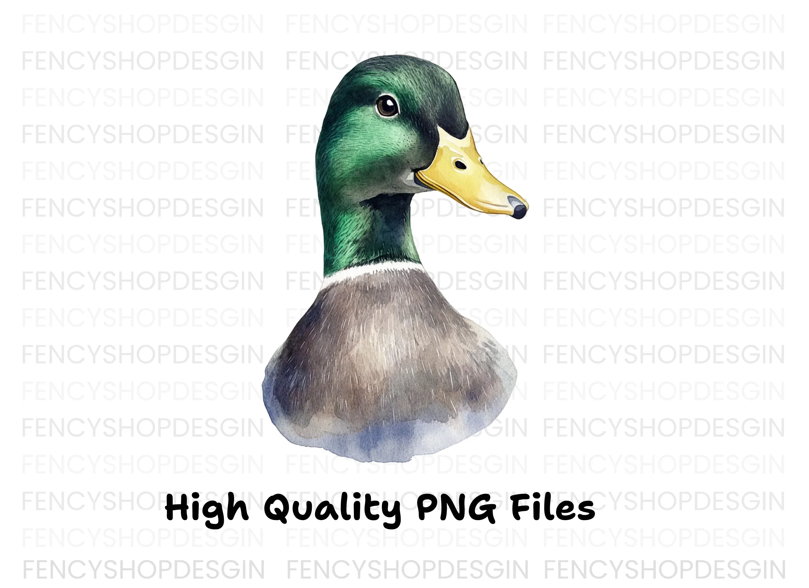 Mallard Duck Head Clipart Bundle - Image 3
