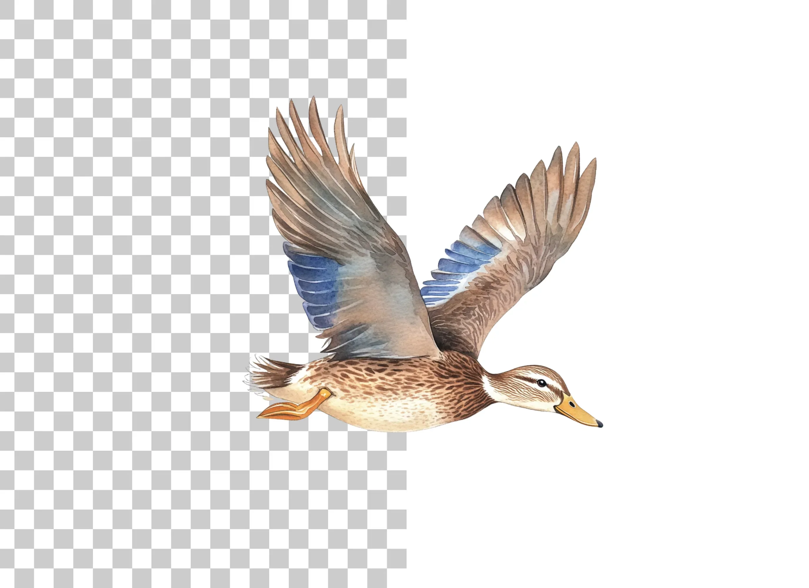 Mallard Ducks in Flight Clipart Bundle - Image 2