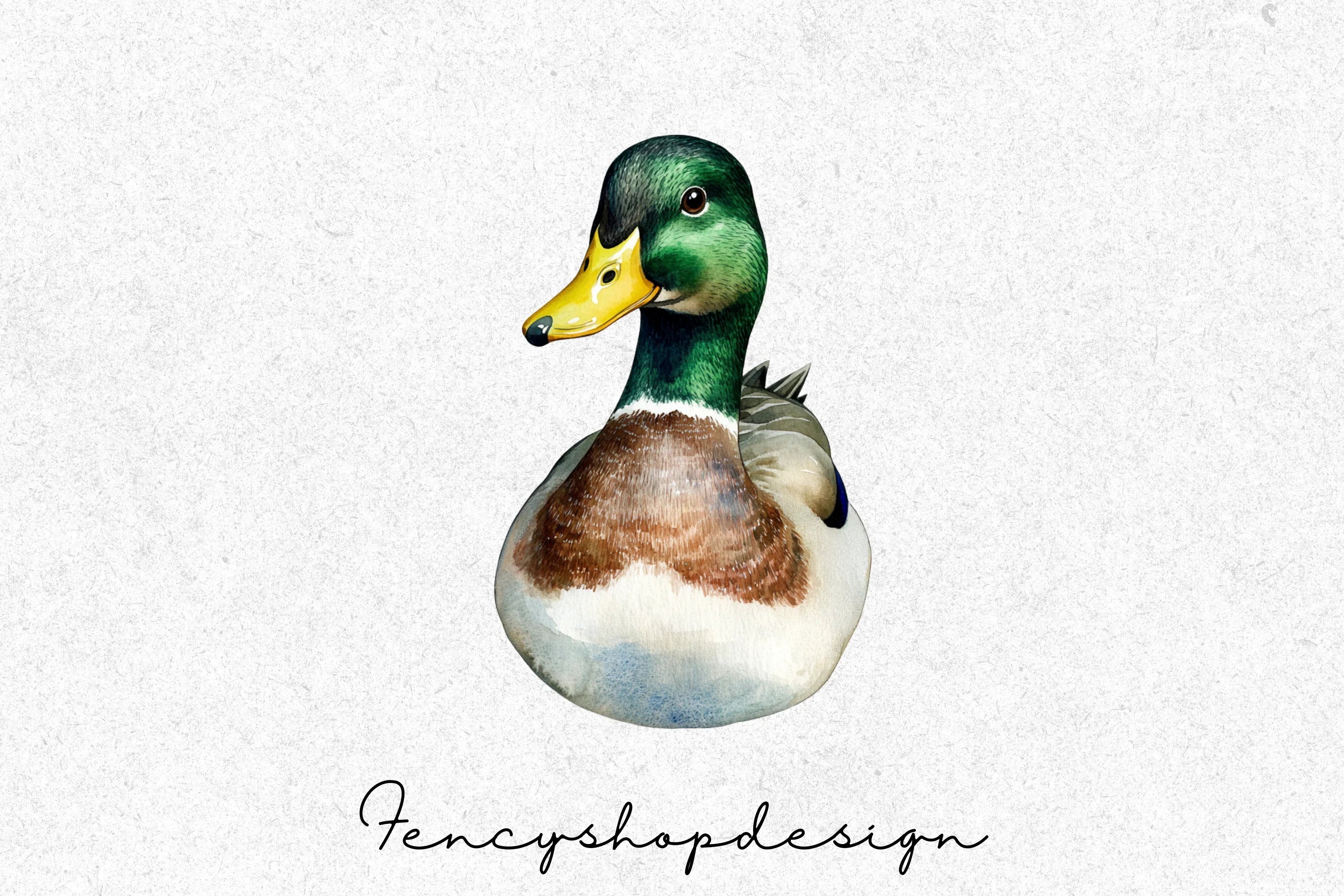 Mallard Ducks Wildlife Animal Clipart Bundle - Image 7