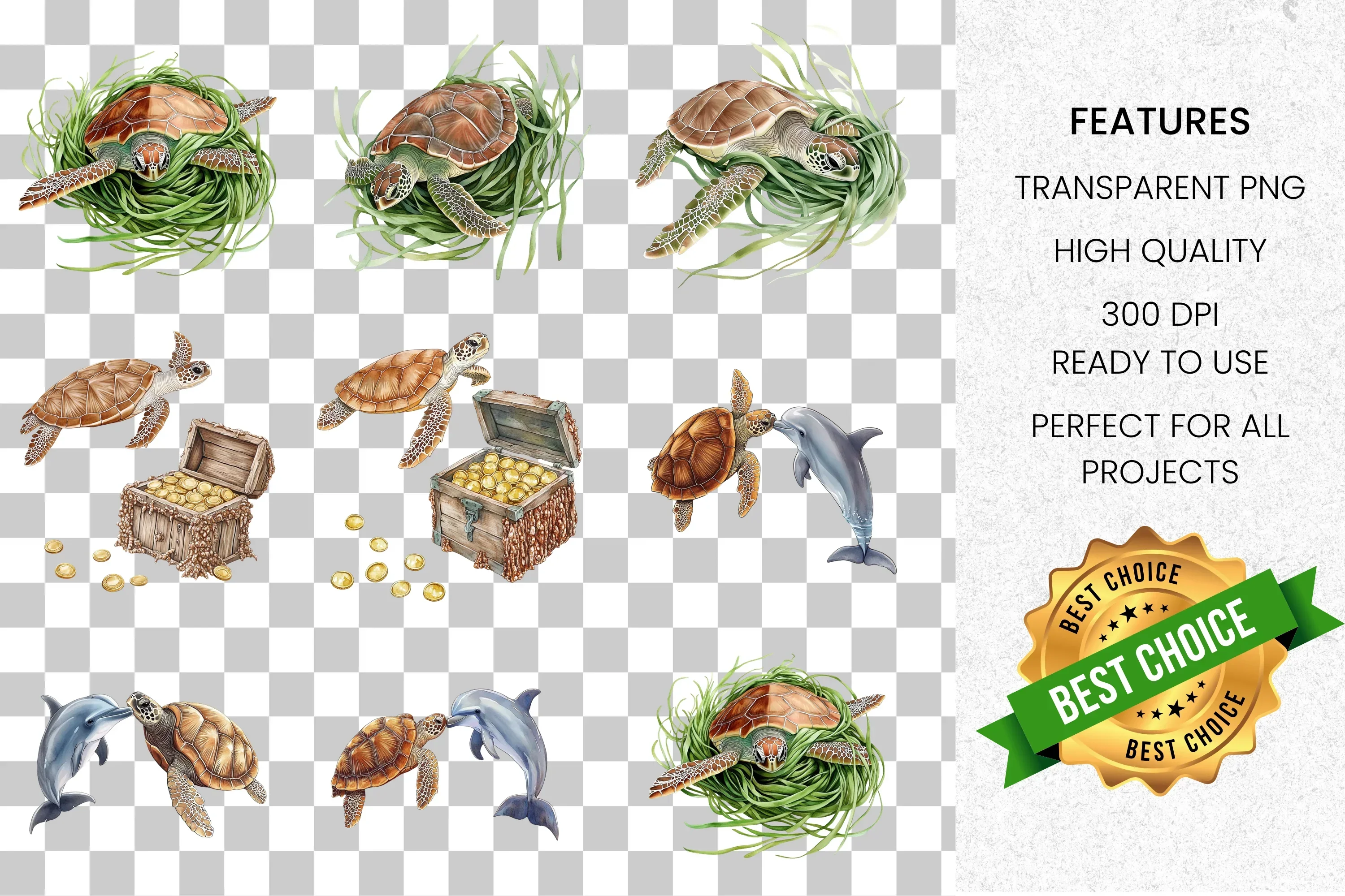 Marine Life Turtle and Dolphin Treasure Clipart Bundle - Image 2