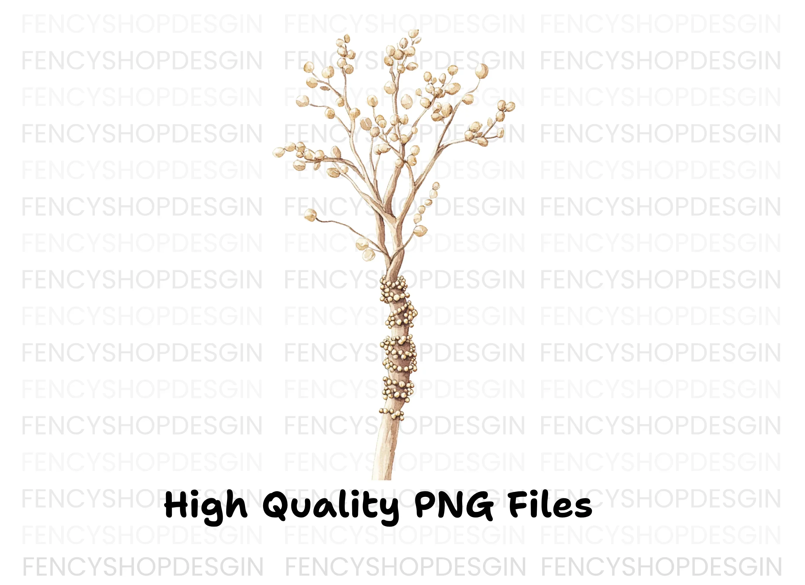 Microscopic Fungi Spore Clipart Bundle - Image 2