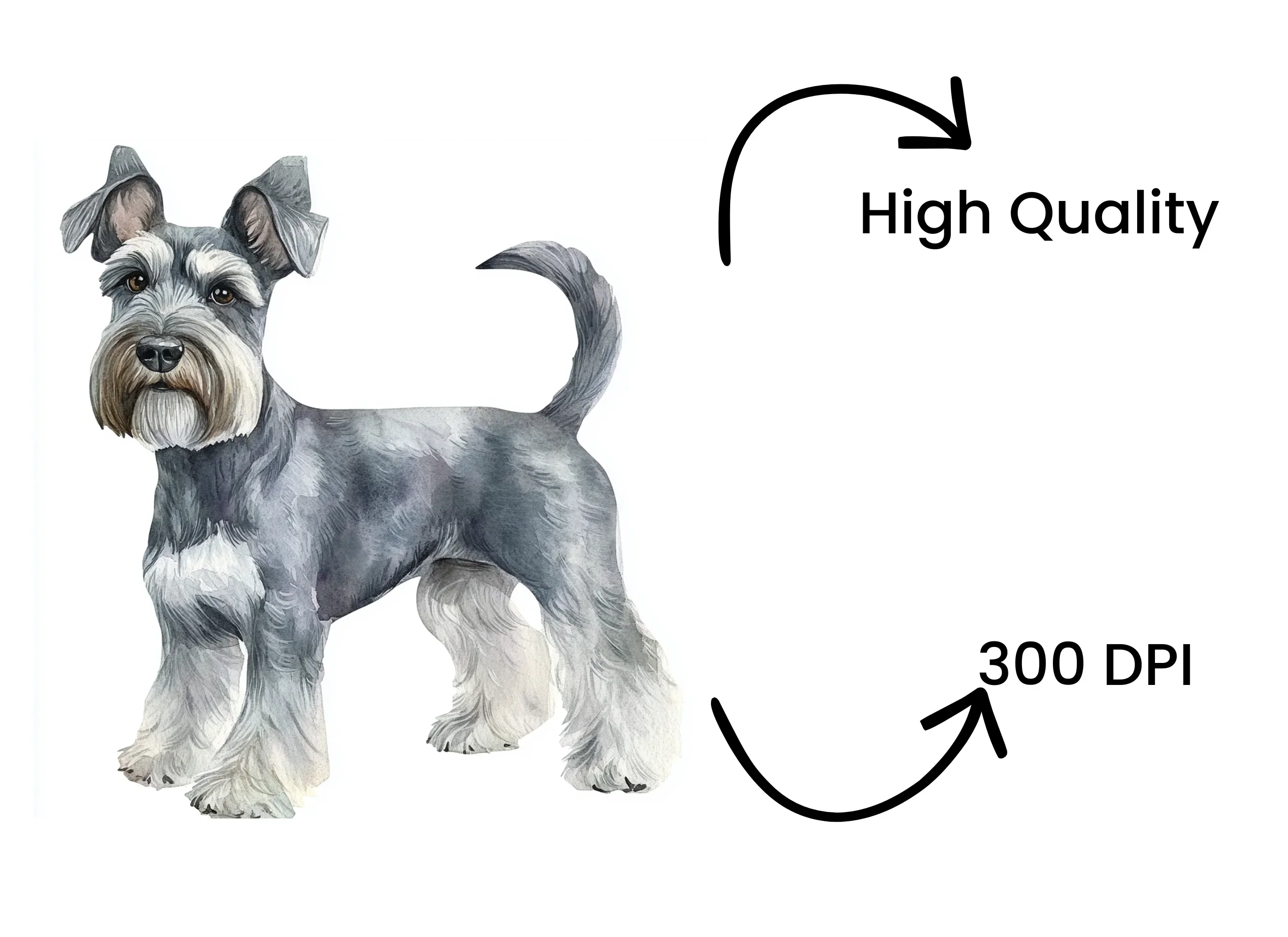 Miniature Schnauzer Clipart Bundle - Image 4