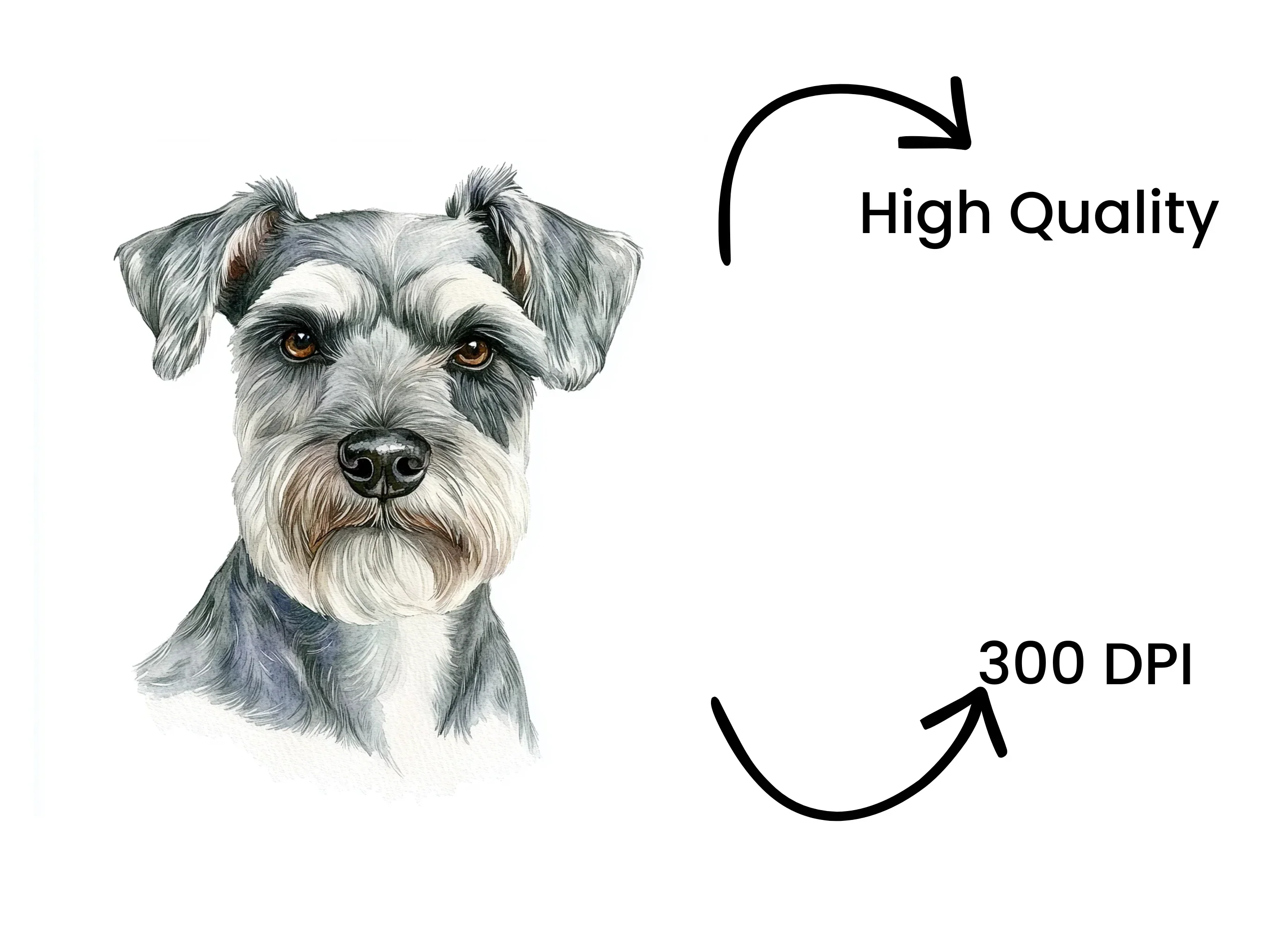 Miniature Schnauzer Face Clipart Bundle - Image 4