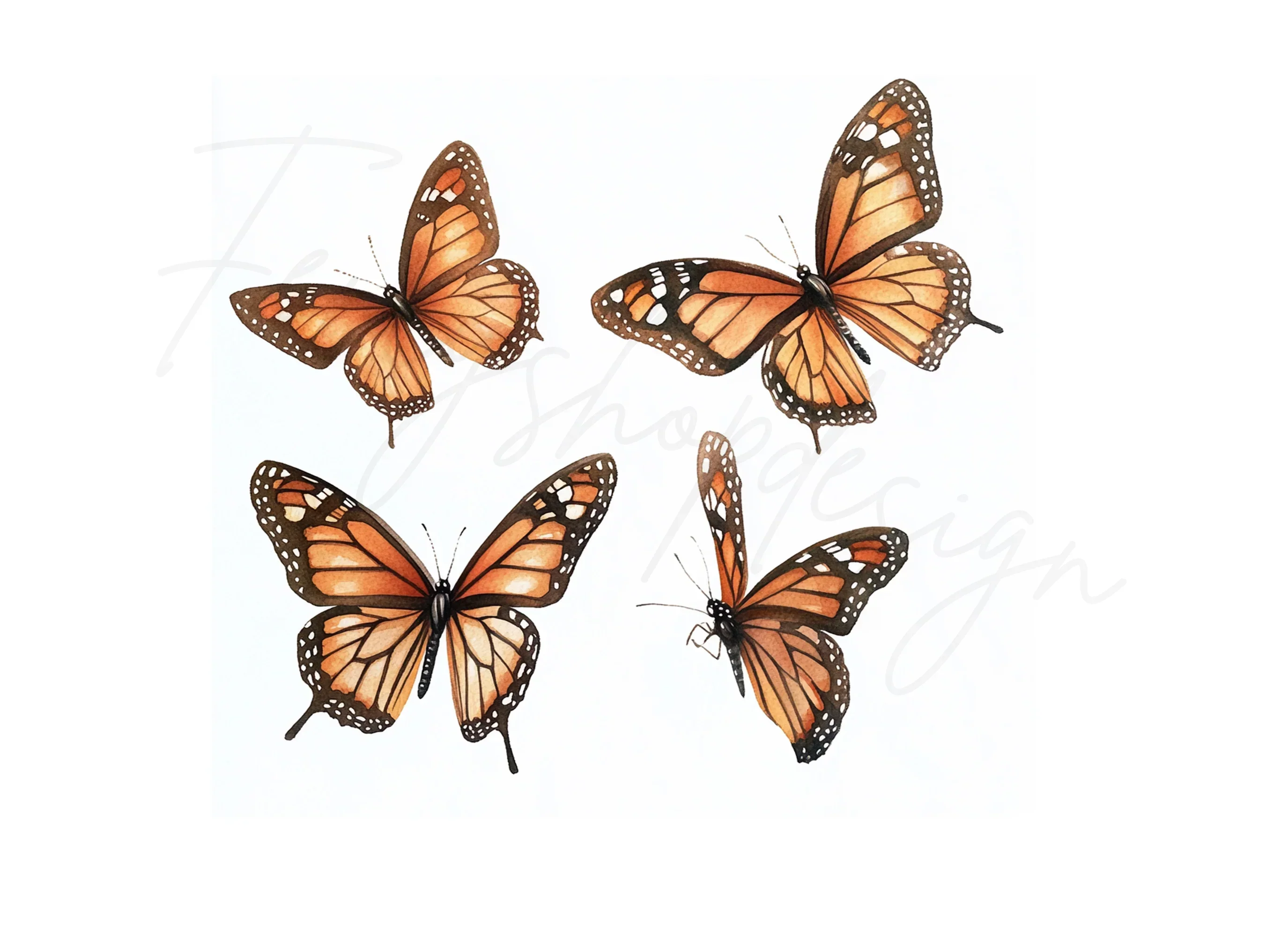 Monarch Butterfly Clipart Bundle - Image 3