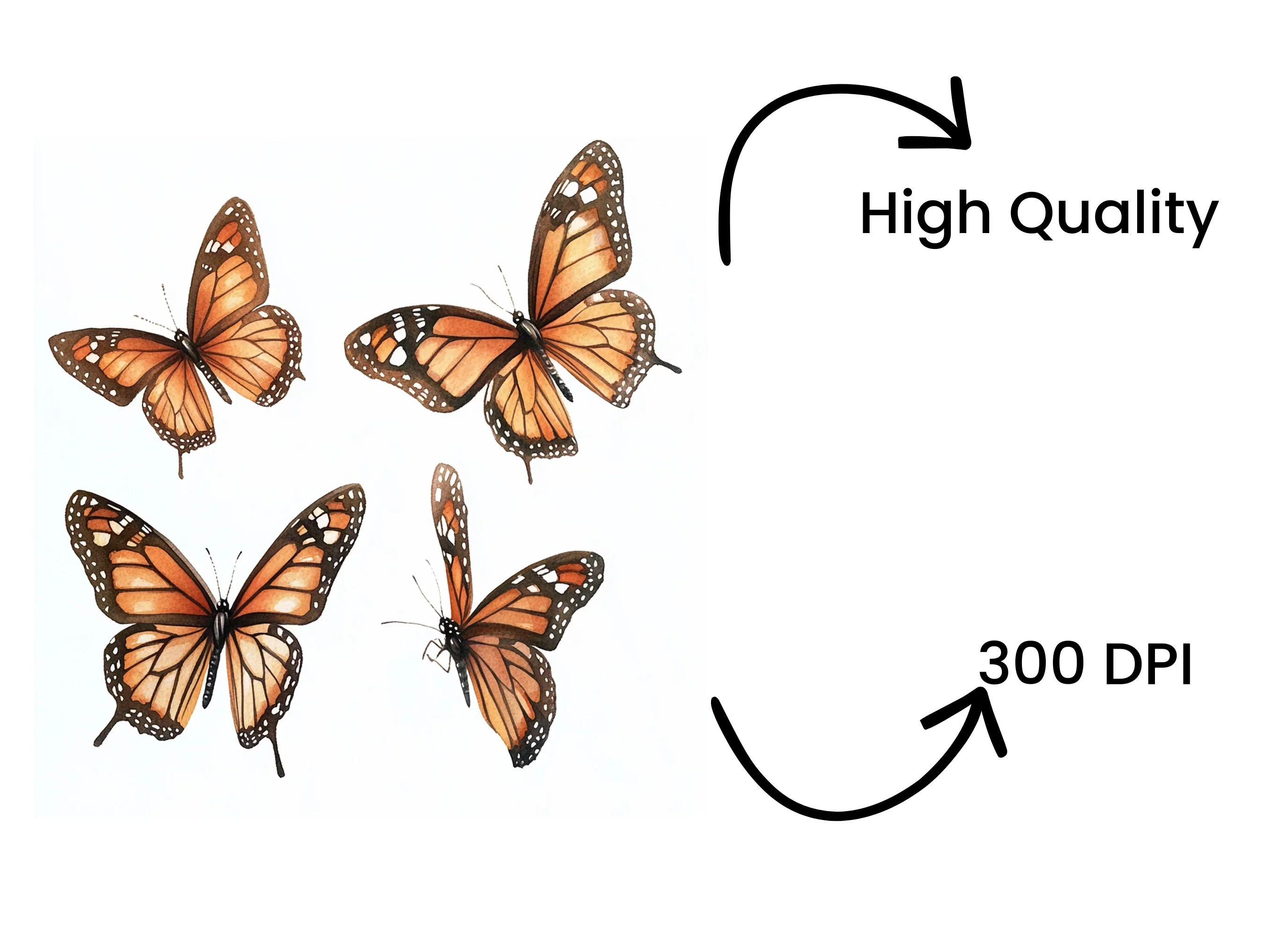 Monarch Butterfly Clipart Bundle - Image 4