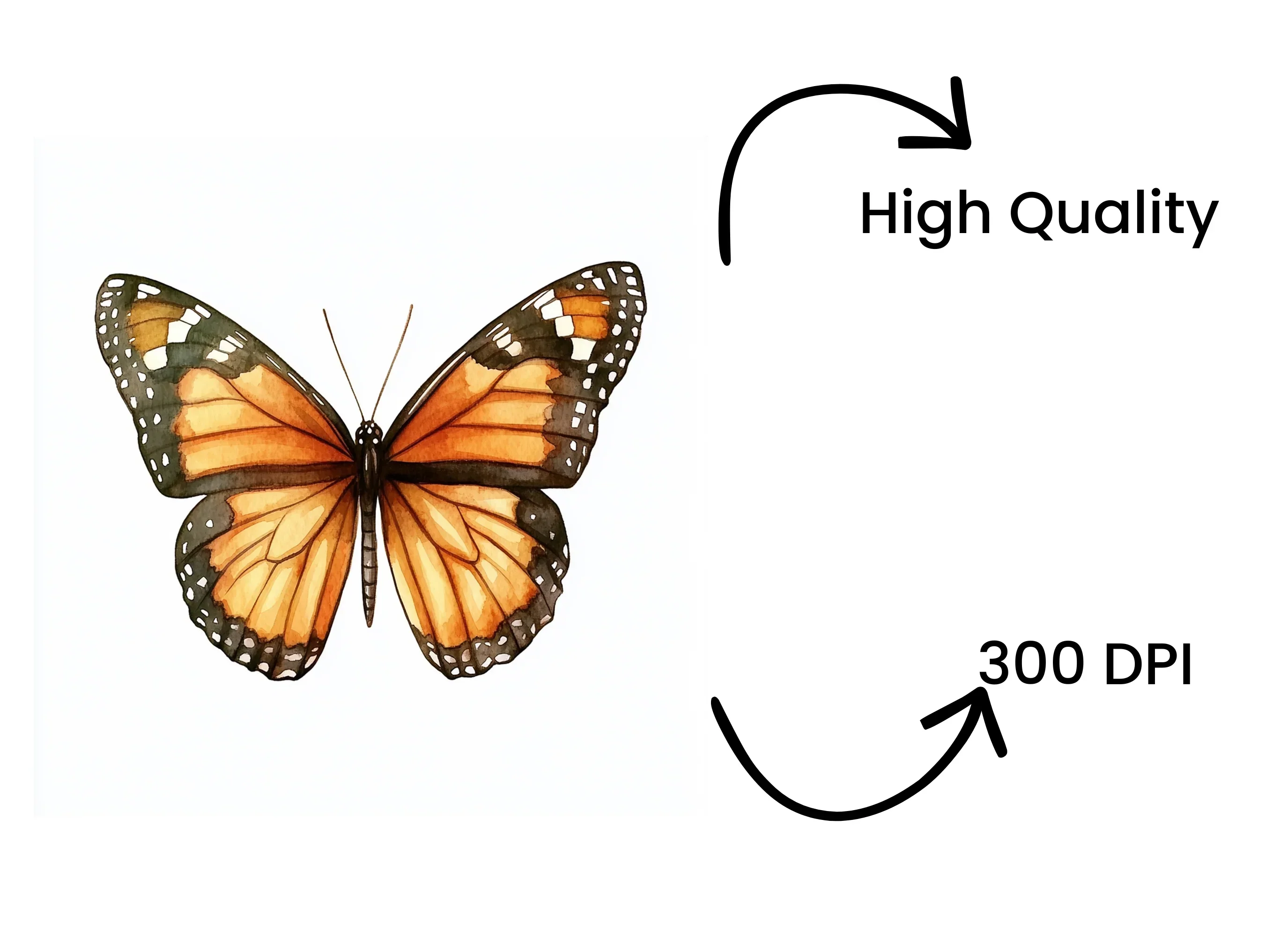 Monarch Butterfly Clipart Bundle - Image 4