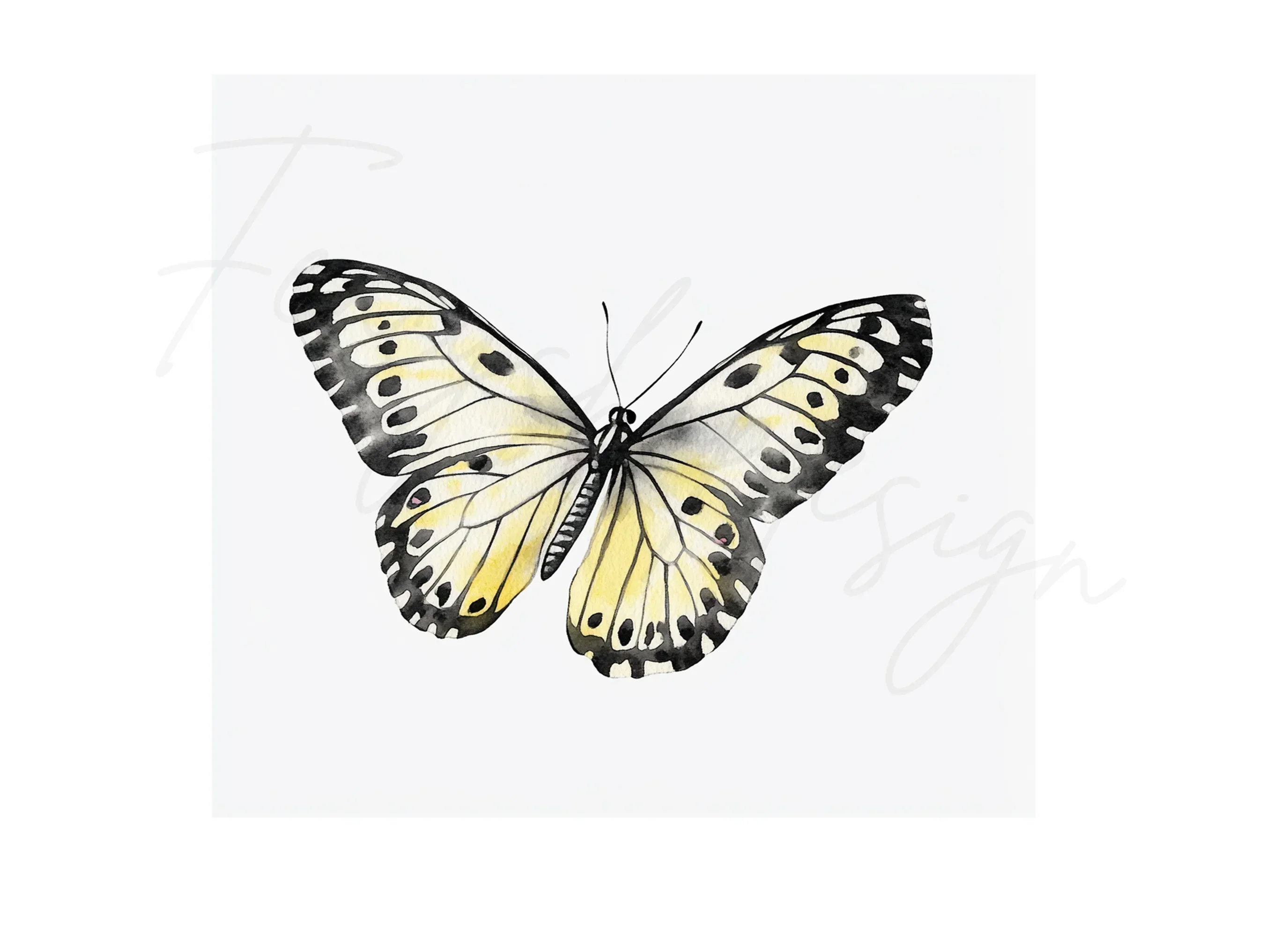 Monochromatic Butterfly Clipart Bundle - Image 3