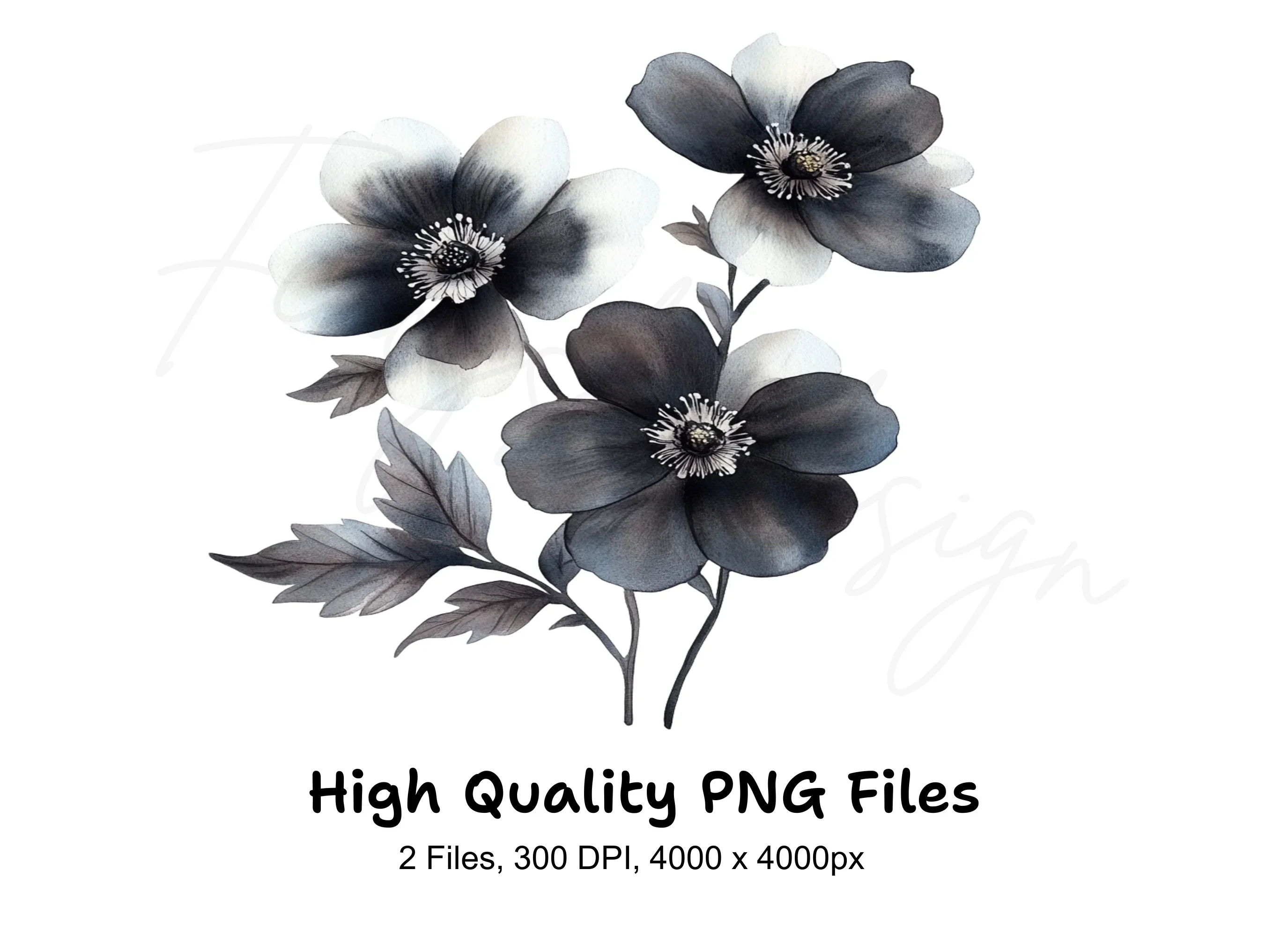 Monochrome Floral Clipart Bundle