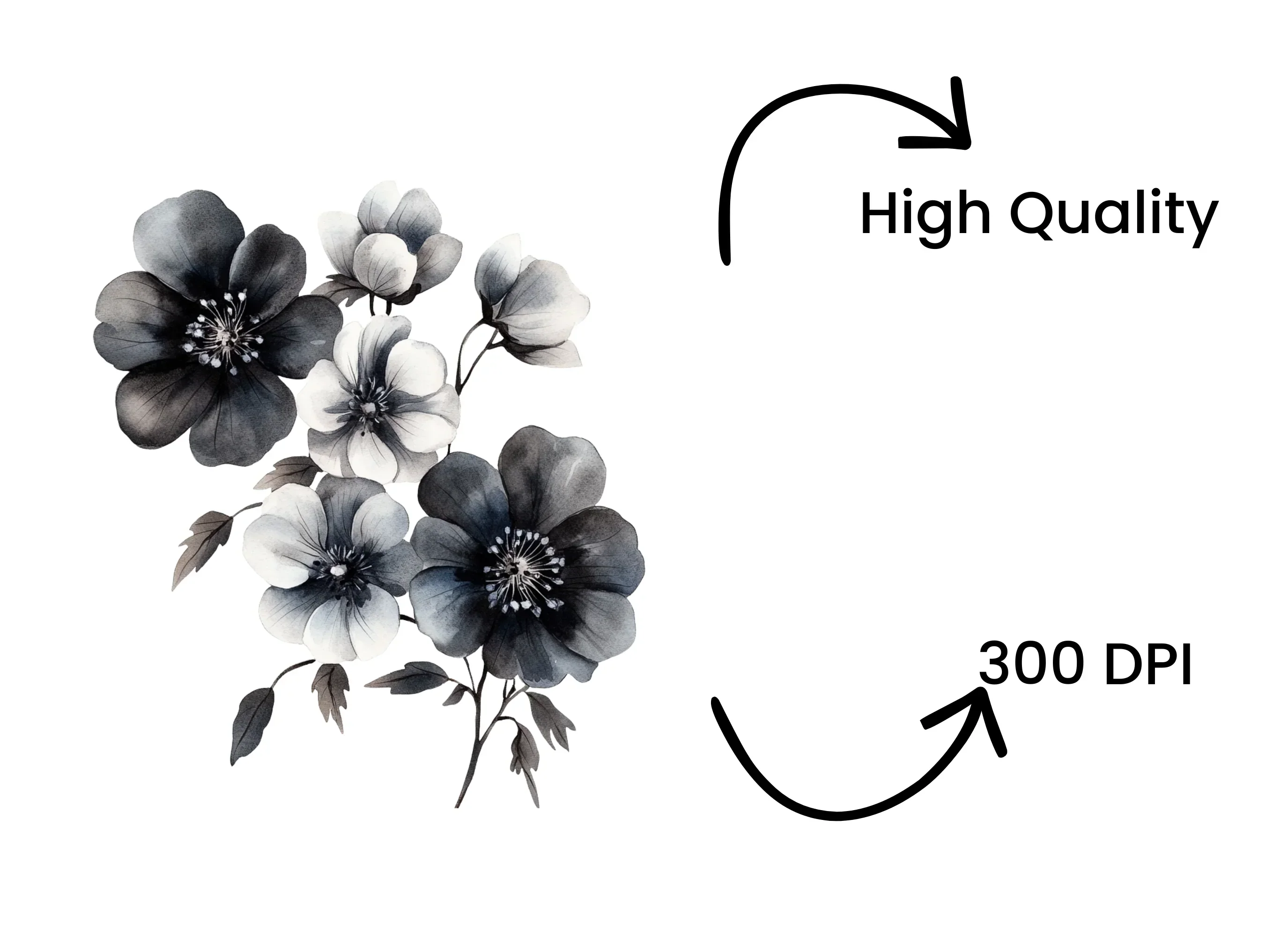 Monochrome Floral Clipart Bundle - Image 4