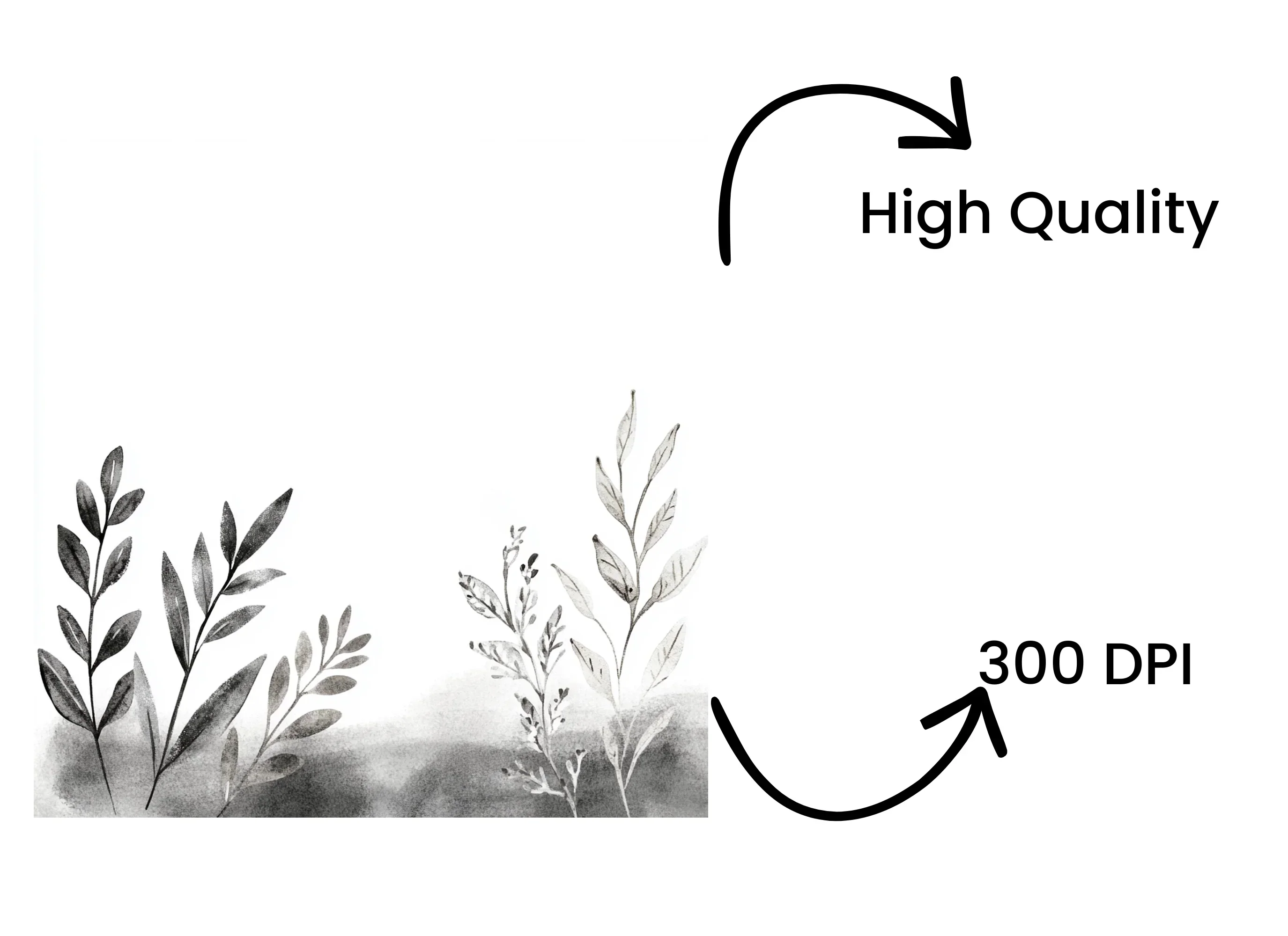 Monochrome Foliage Stones Clipart Bundle - Image 4