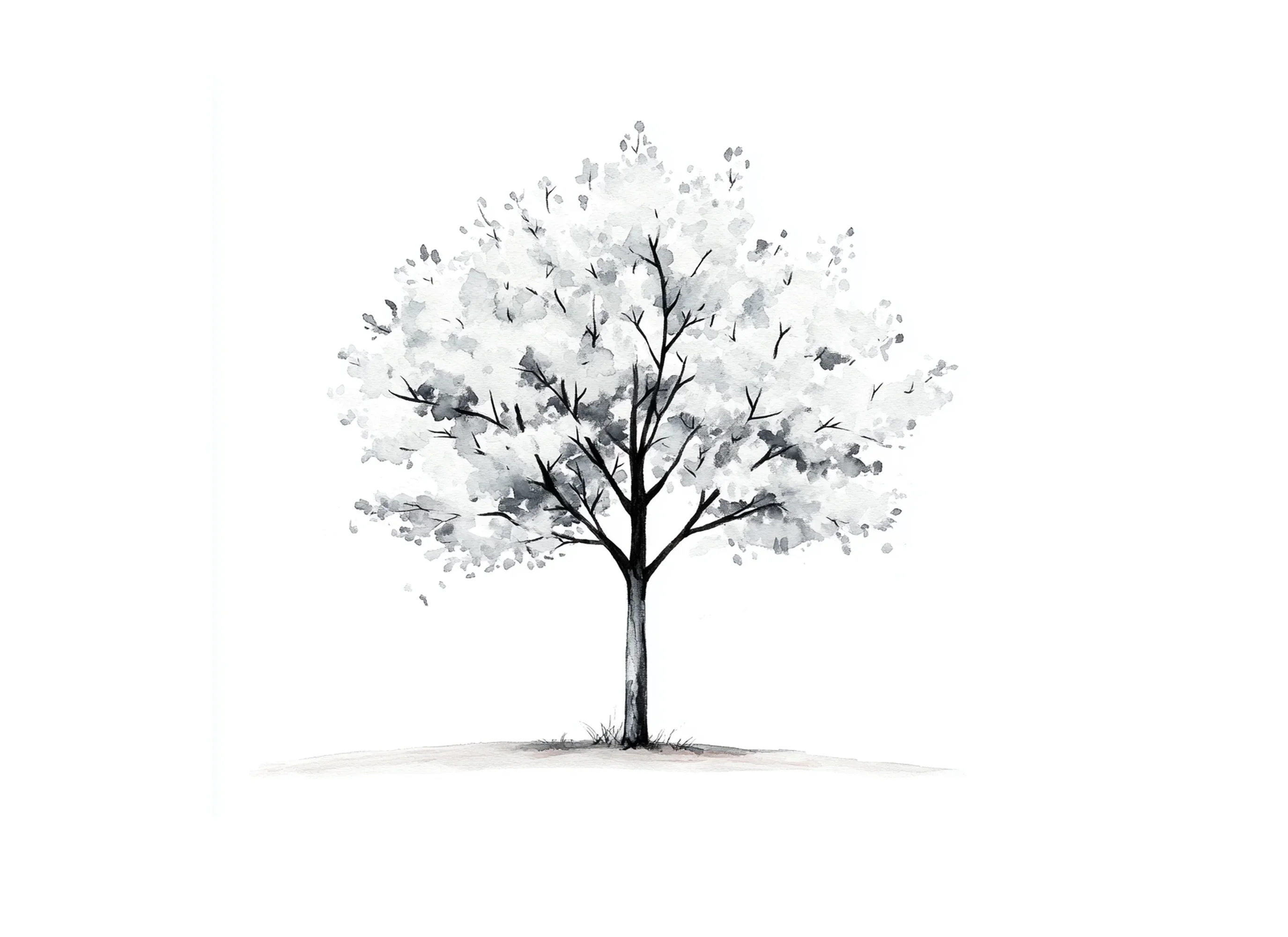 Monochrome Tree Clipart Bundle - Image 3