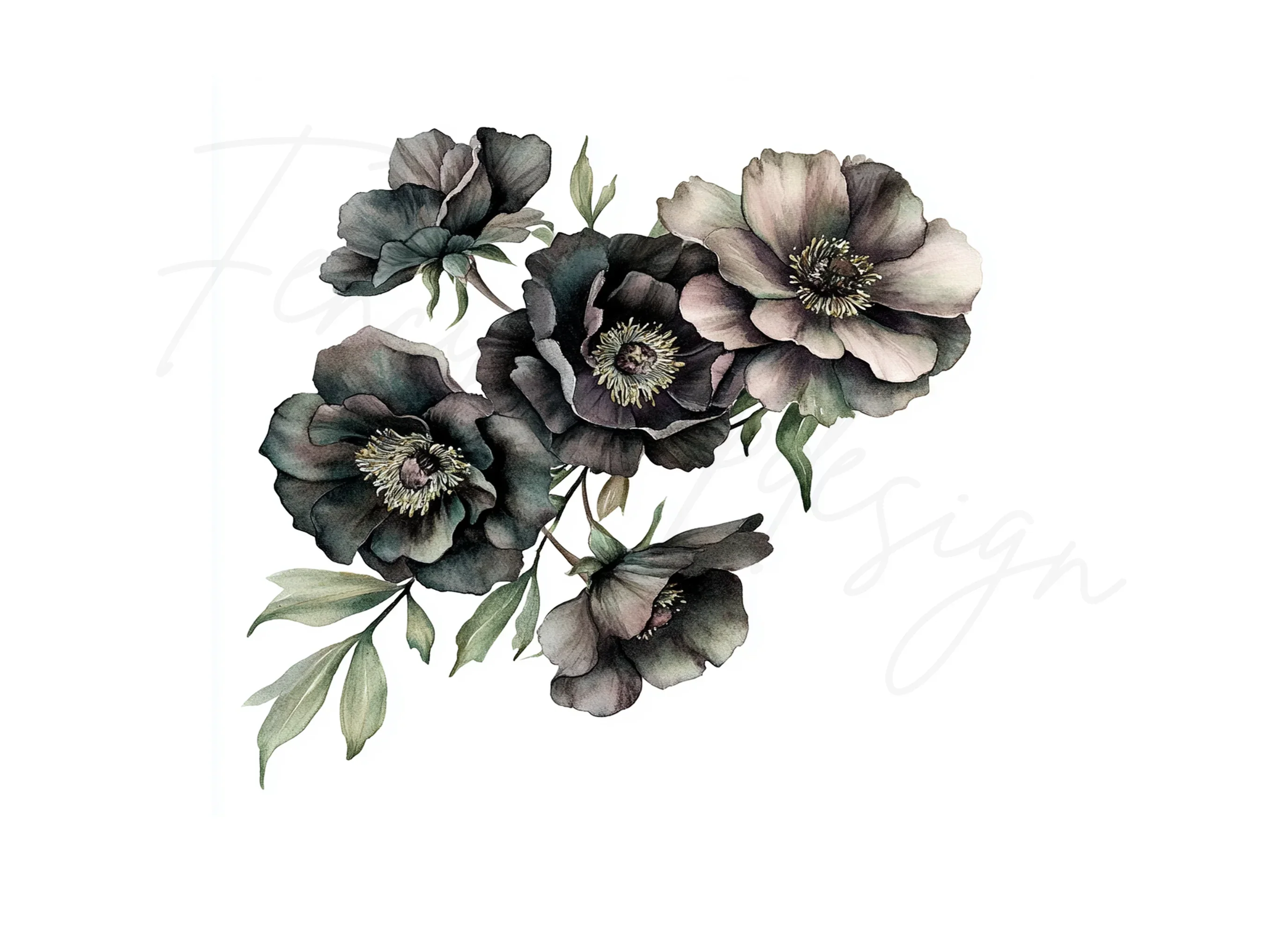 Moody Black Rose Clipart Bundle - Image 2