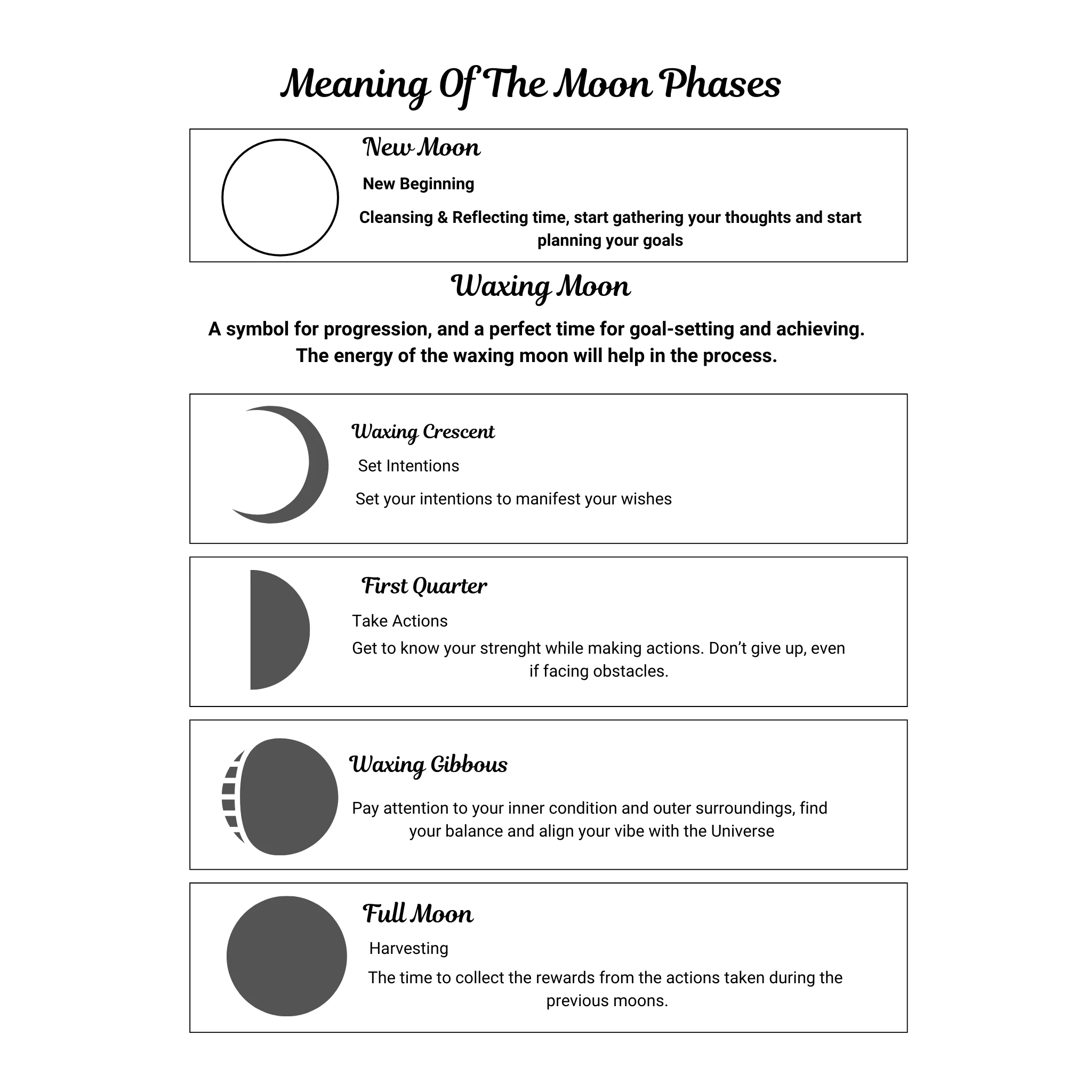 Moon & Astrology Planner Bundle - Image 4