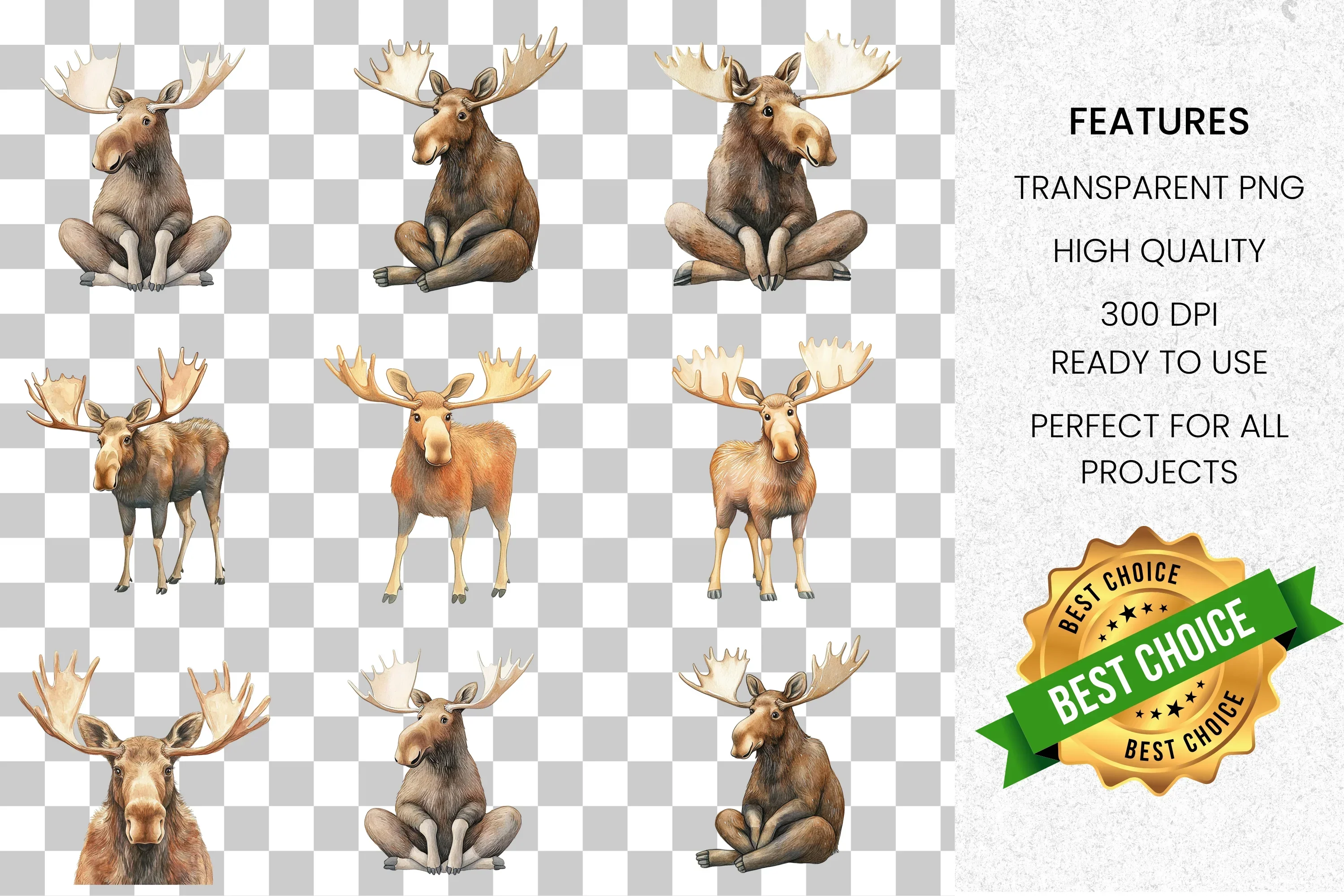 Moose Animal Clipart Bundle - Image 8