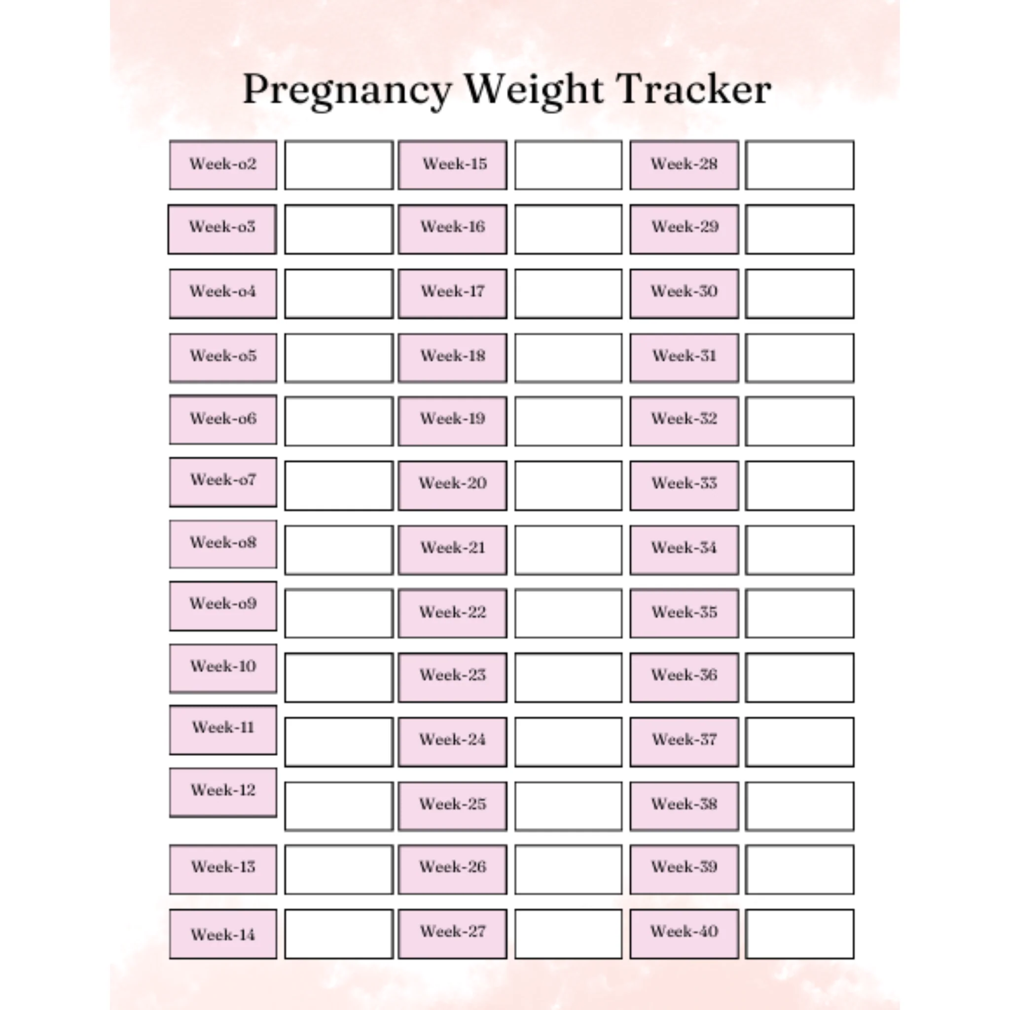 My Pregnancy Journal Bundle - Image 4