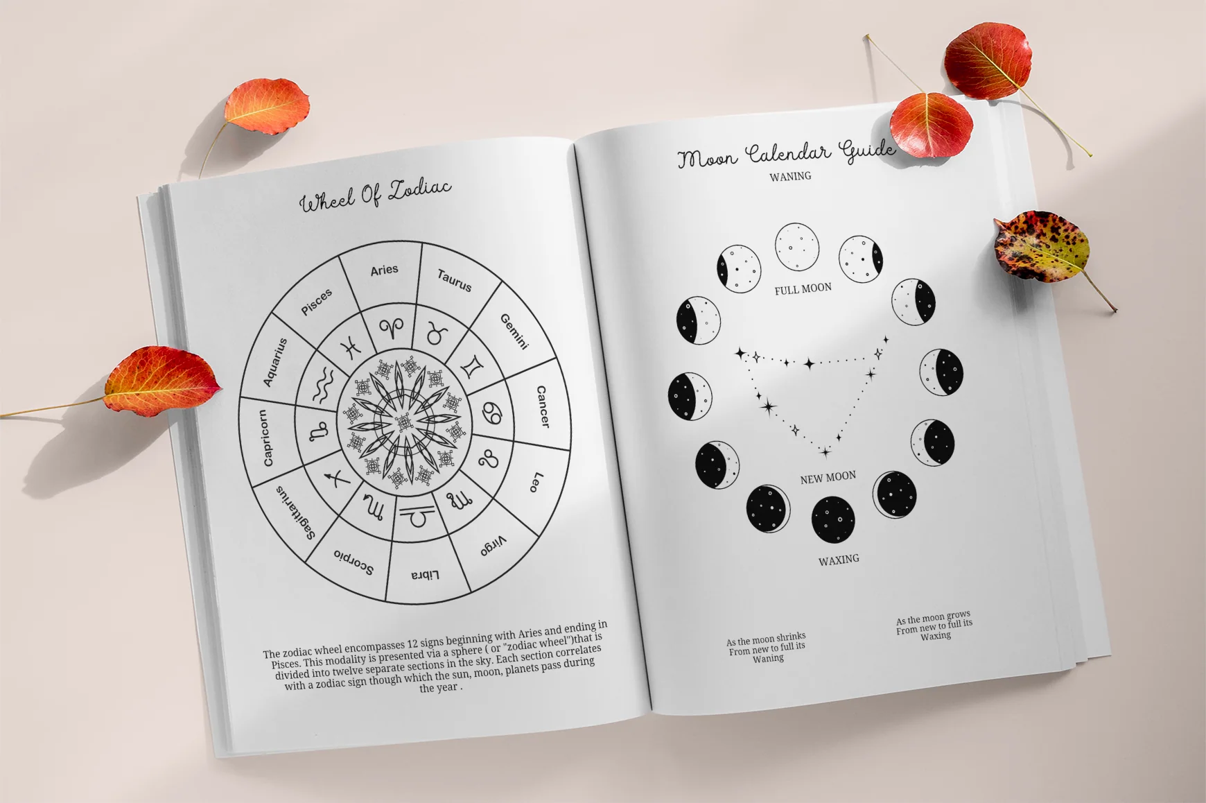 Mystic Witchy Goal Intentions Planner - Image 4
