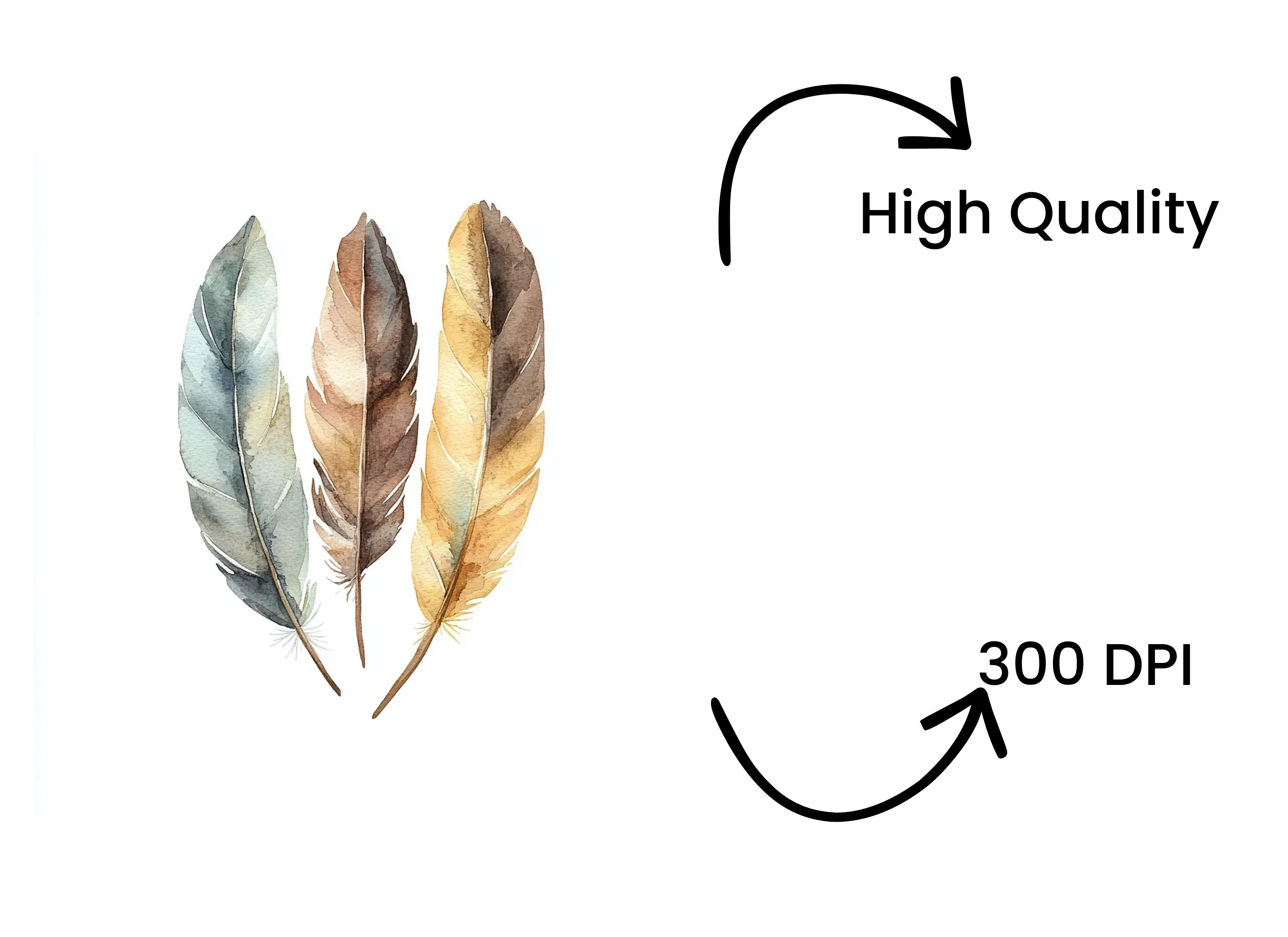 Natural Feather Clipart Bundle - Image 4