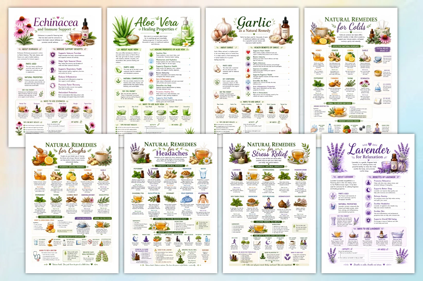 Natural Remedies Educational Workbook - Image 2