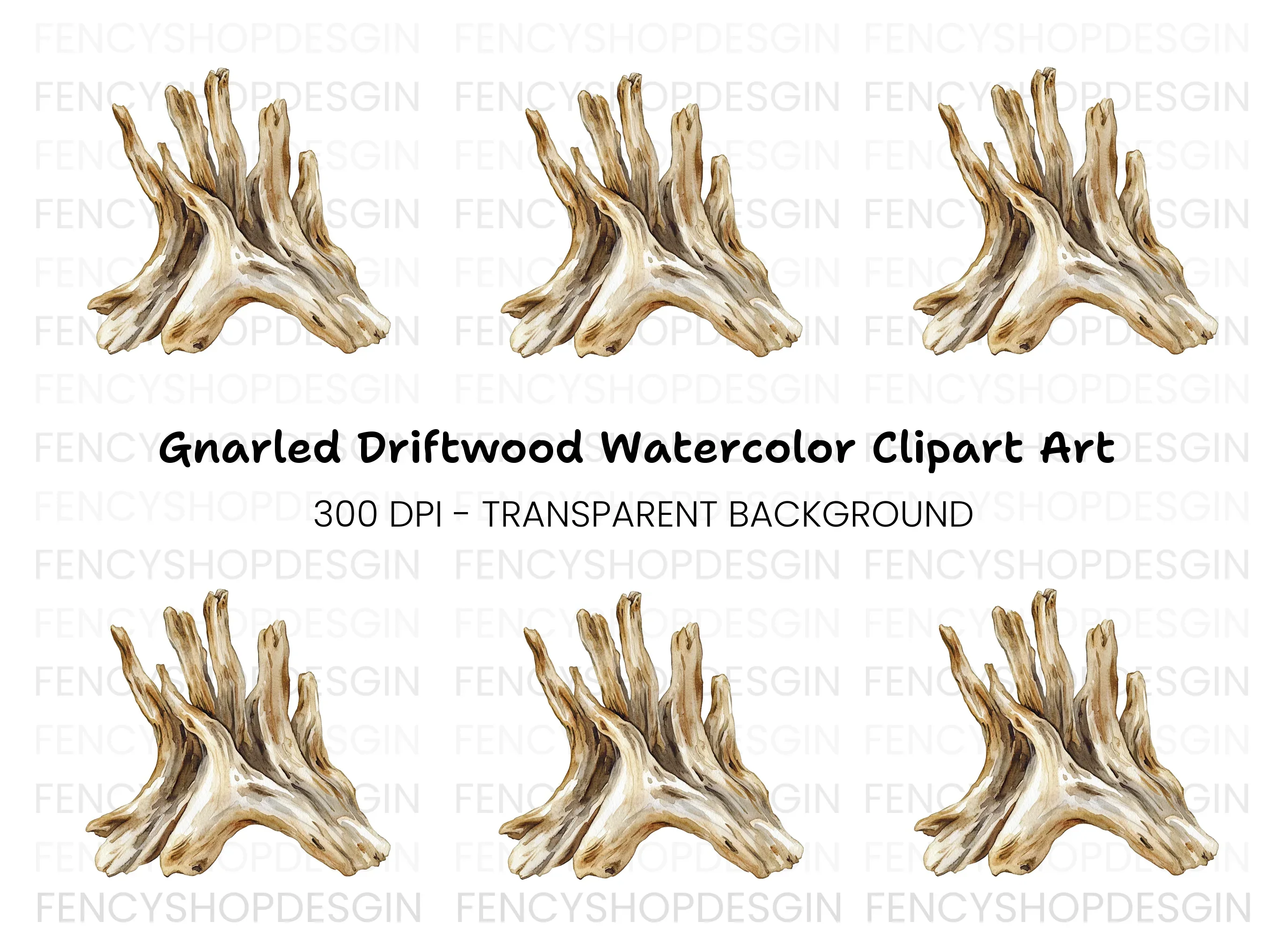 Natural Wood Root Illustration Clipart Bundle