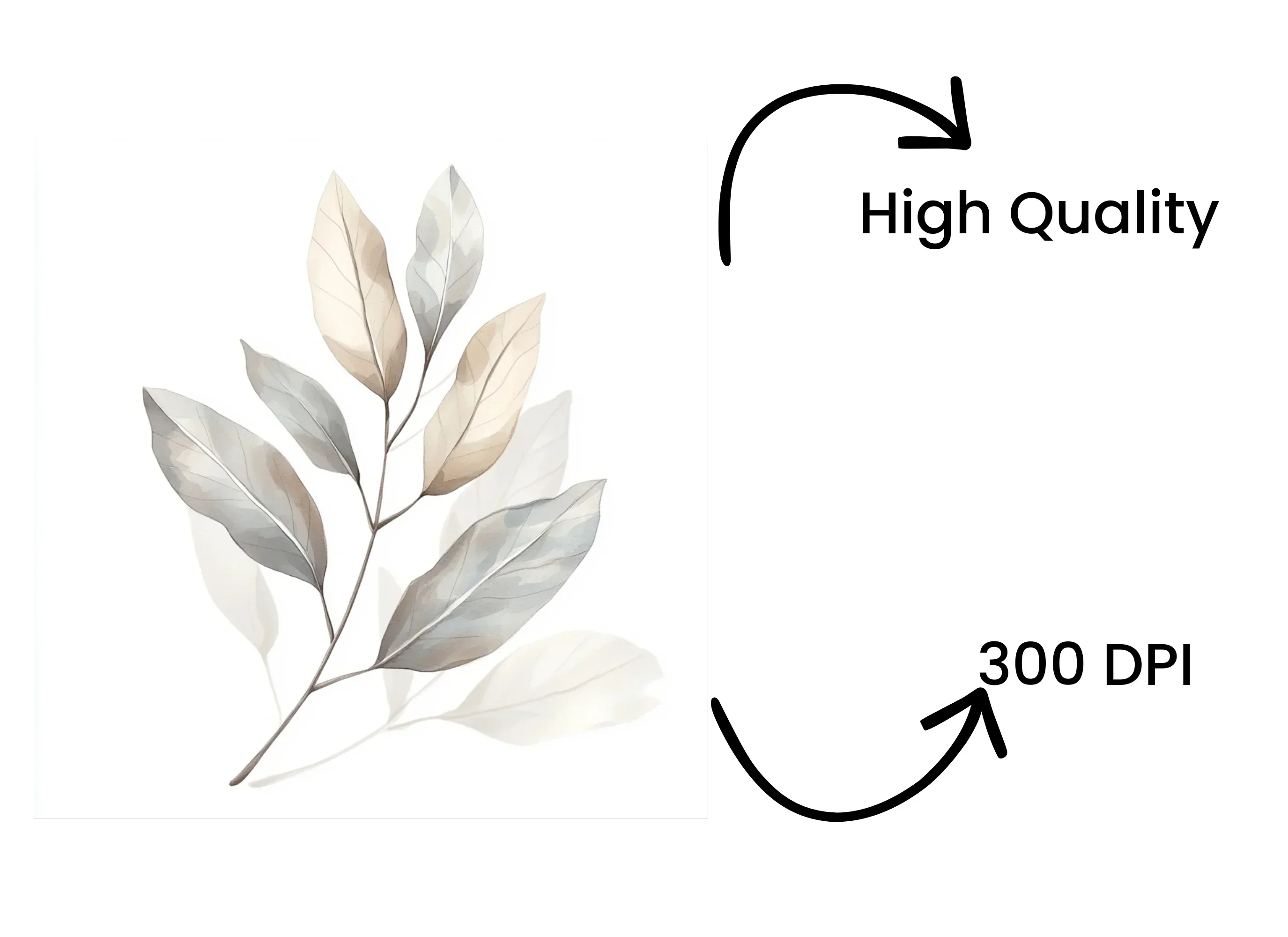 Neutral Leaves Clipart Bundle - Image 4