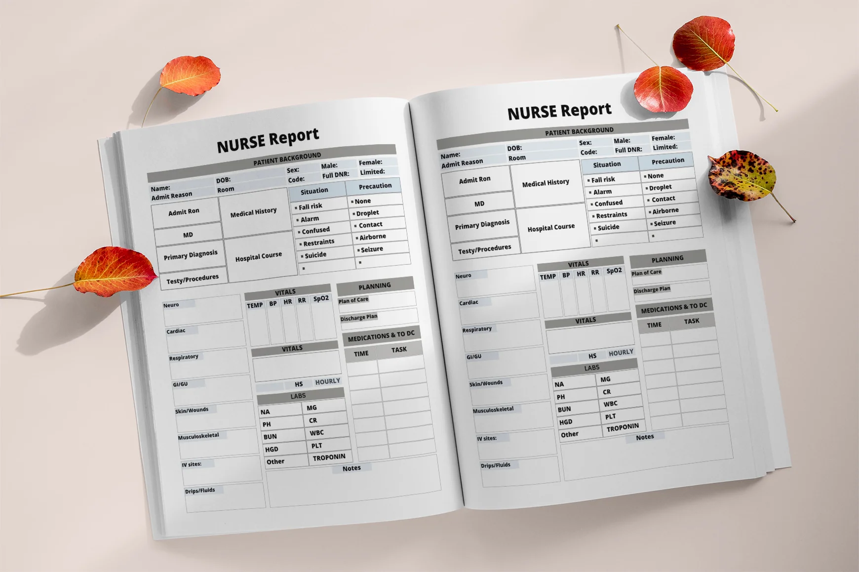 Nursing Notes Patient Report Workbook - Image 3