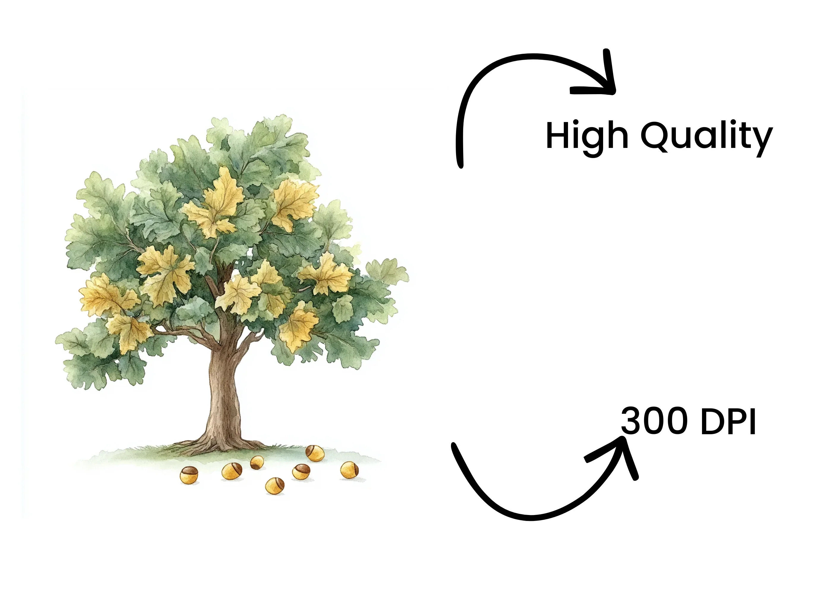Oak Tree Clipart Bundle - Image 4