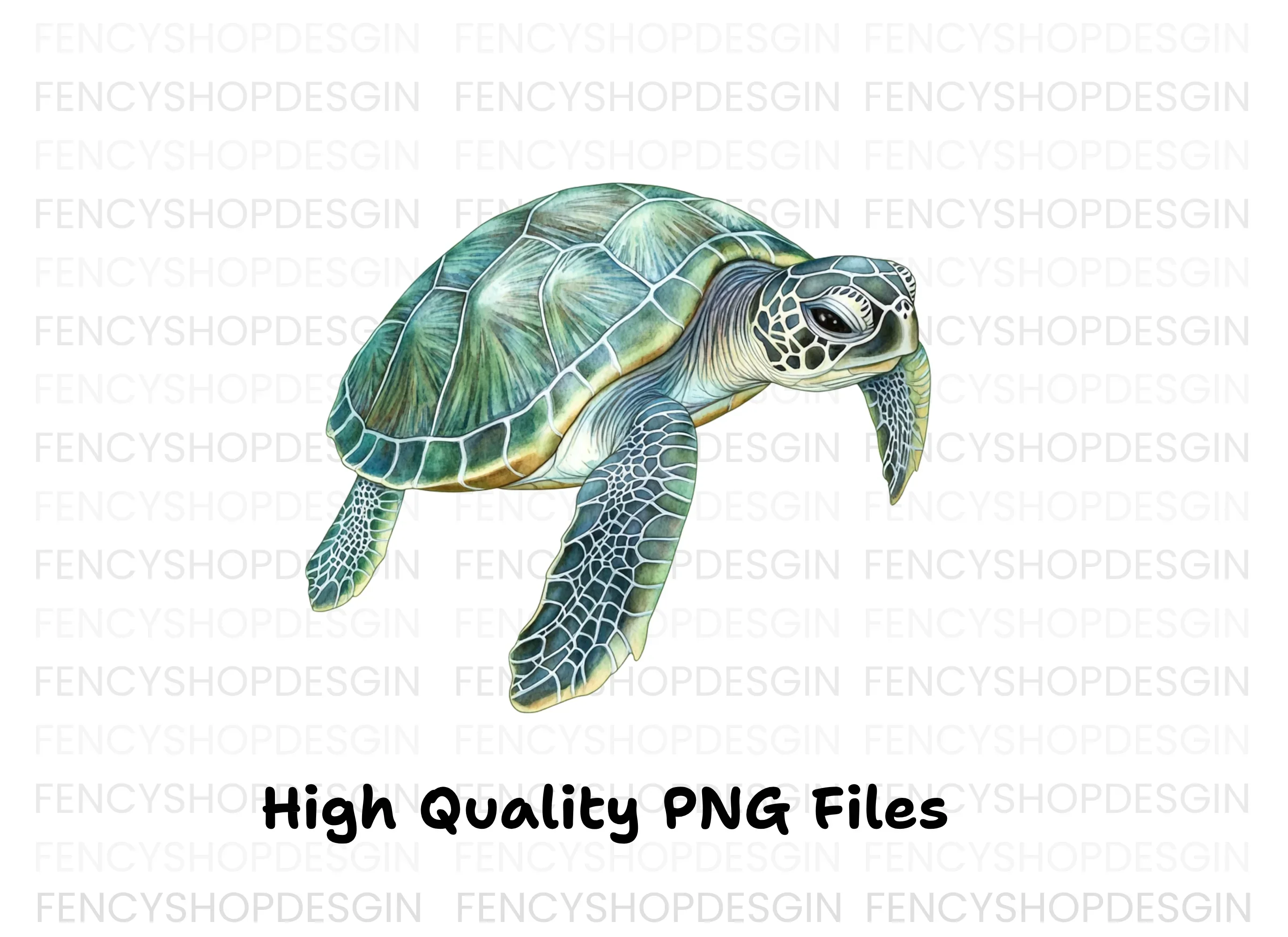 Oceanic Green Turtle Clipart Bundle - Image 3