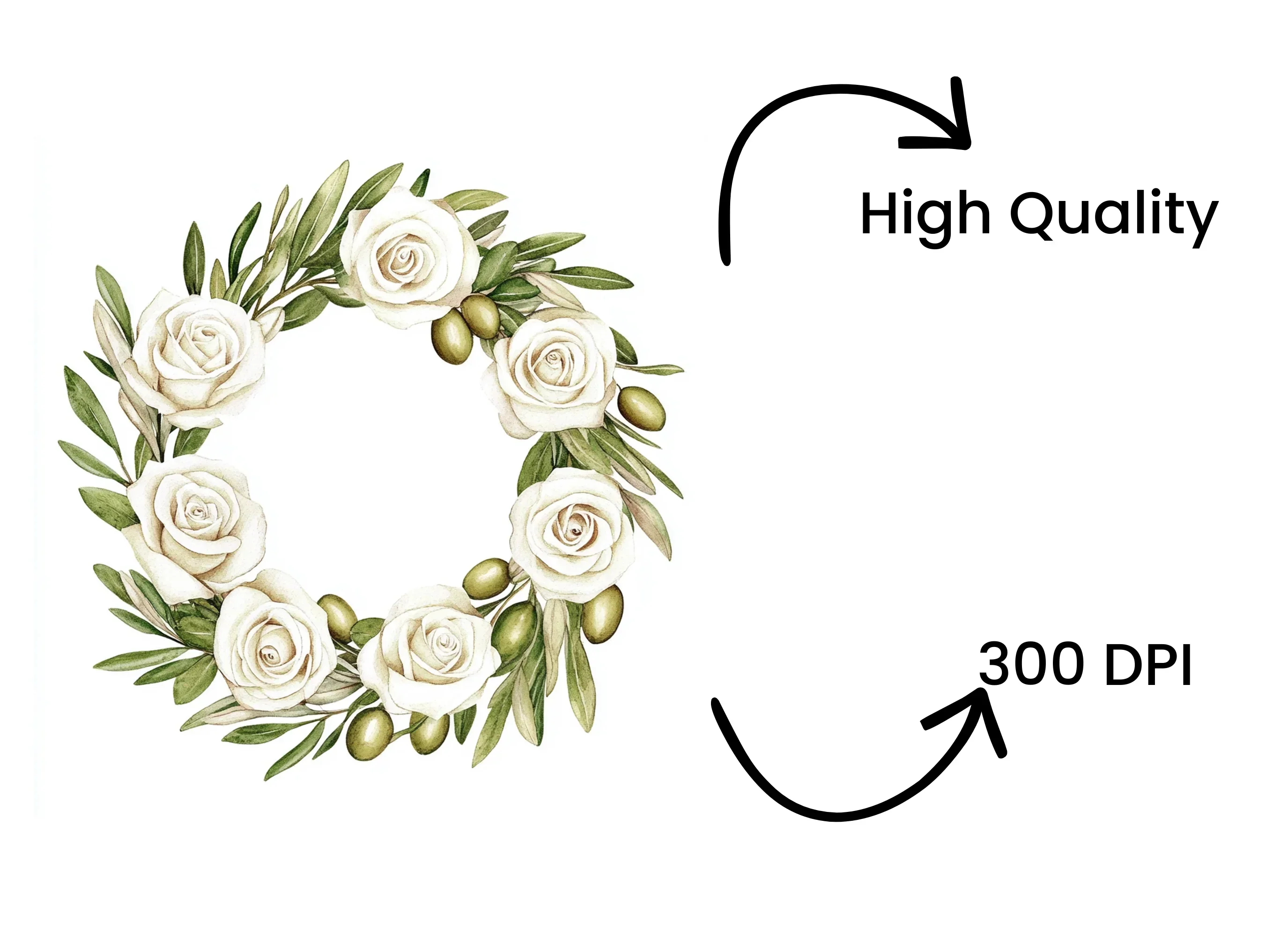 Olive White Rose Wreaths Clipart Bundle - Image 4