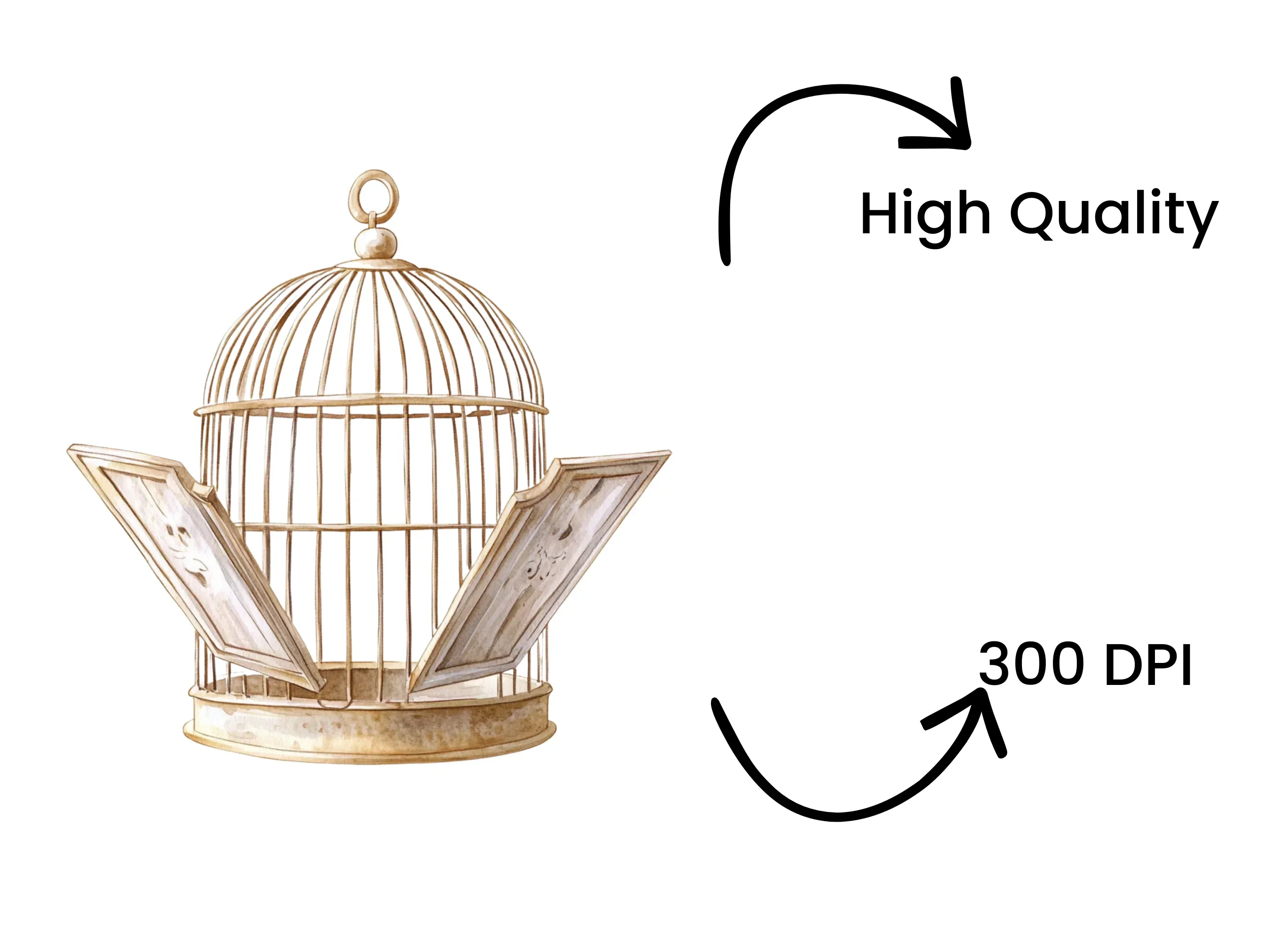 Open Vintage Bird Cage Clipart Bundle - Image 4