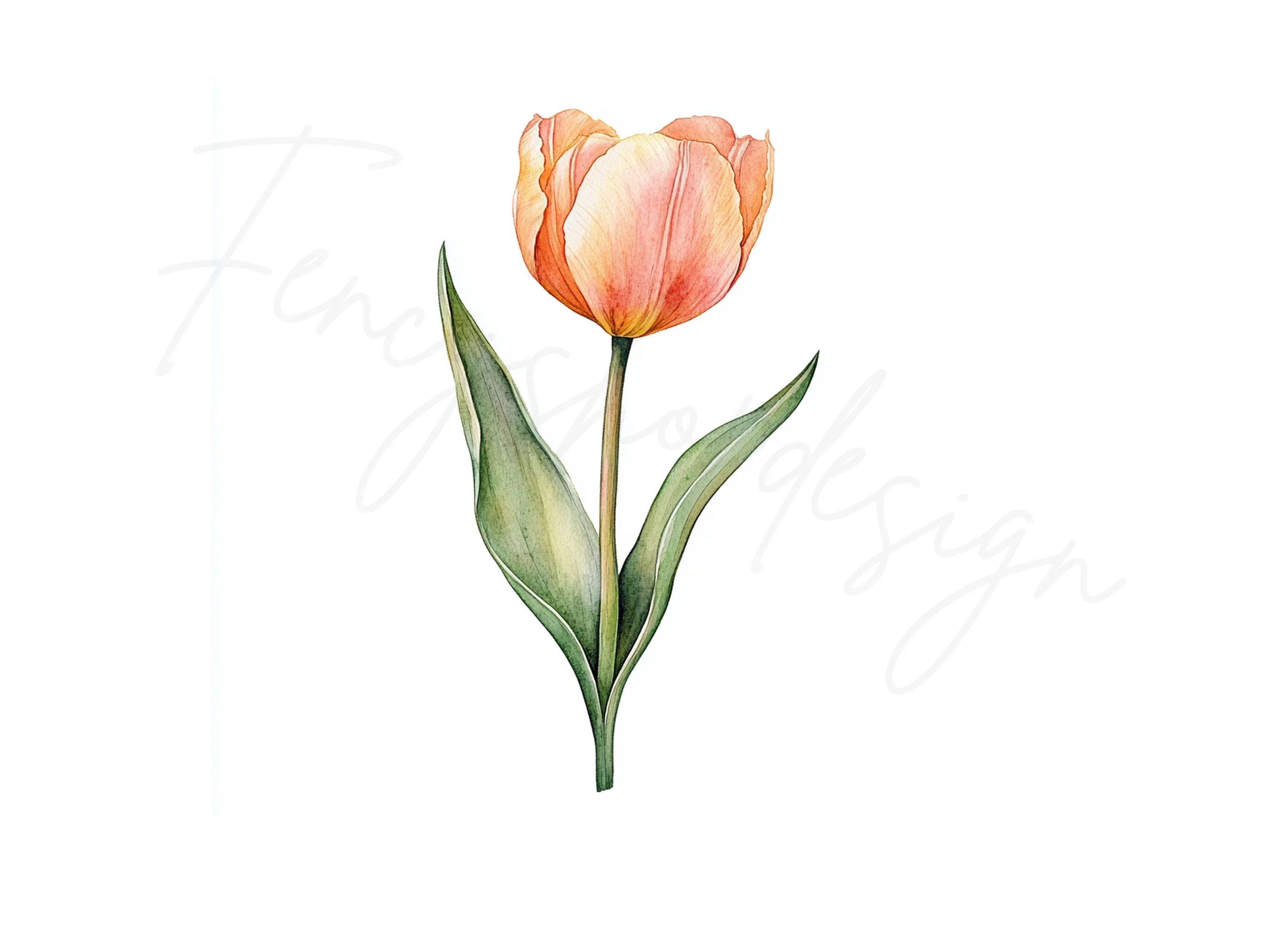 Orange Tulip Flower Clipart Bundle - Image 3