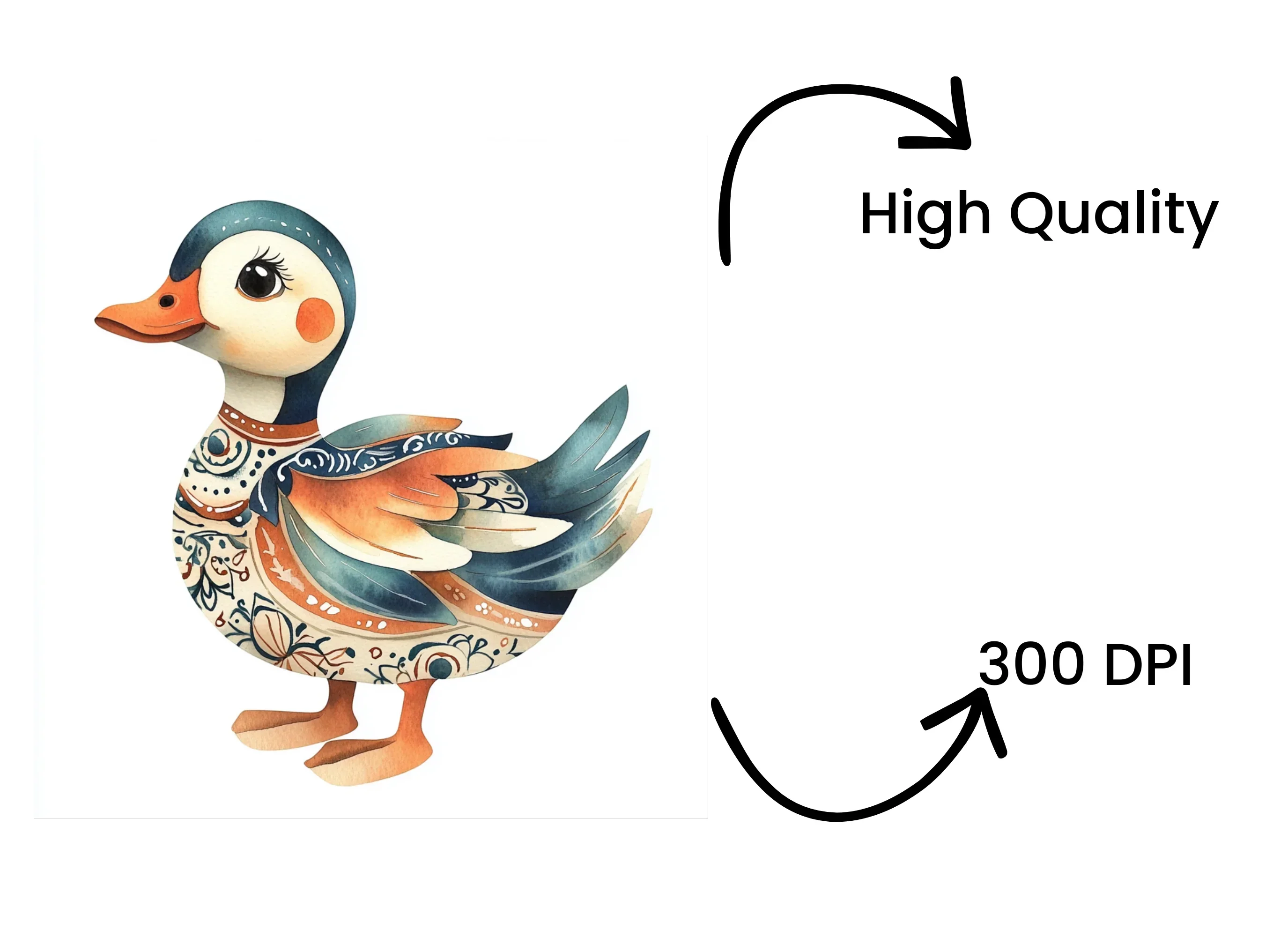 Ornate Patterned Duck Clipart Bundle - Image 4