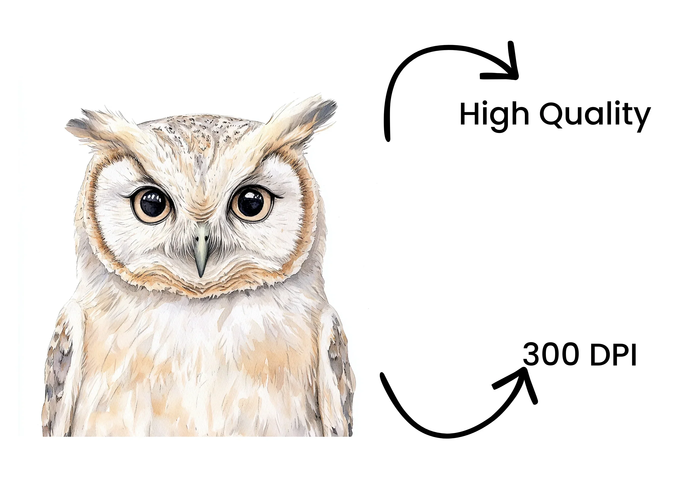 Owl Clipart Bundle - Image 4