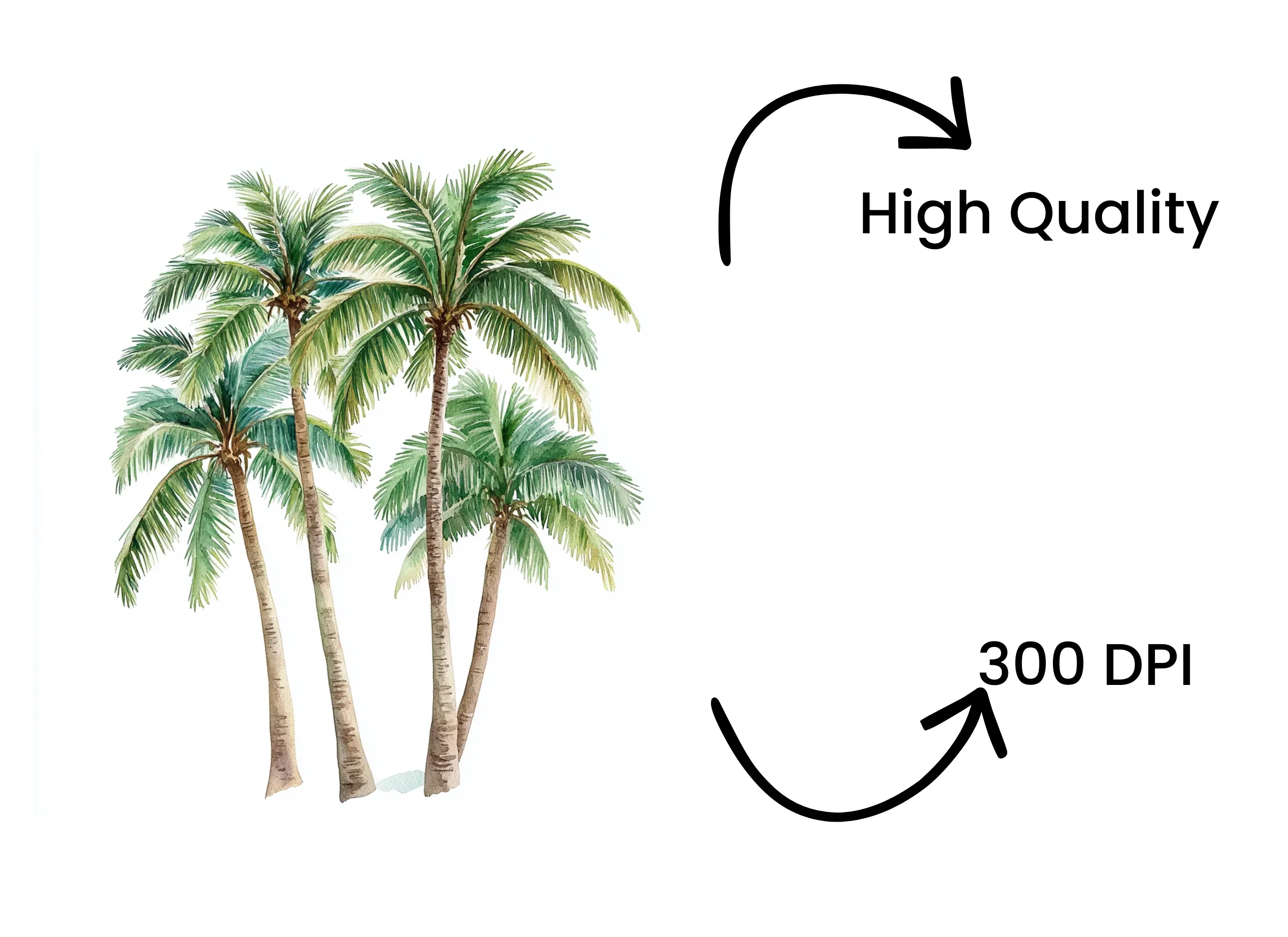 Palm Trees Clipart Bundle - Image 4