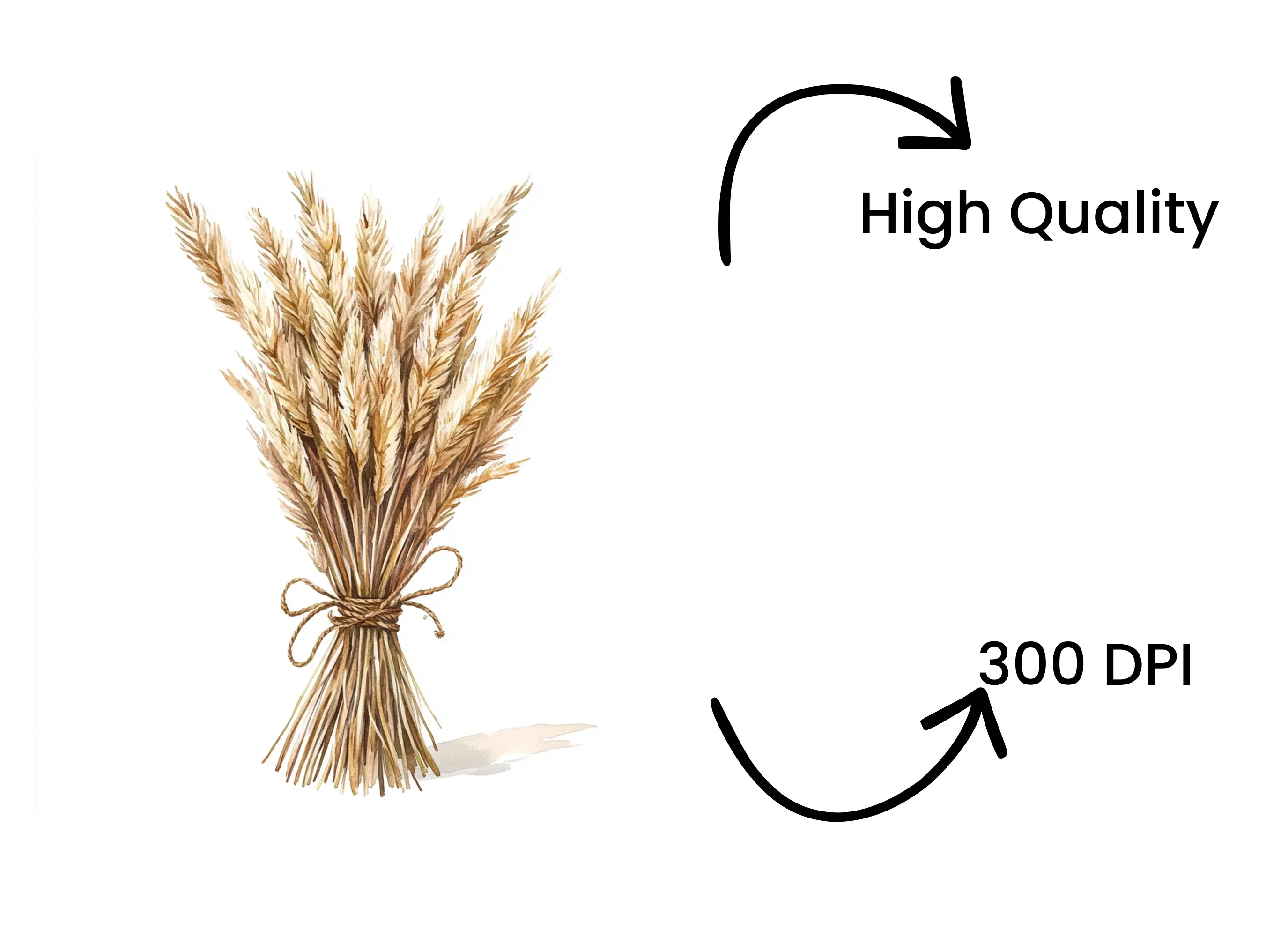 Pampas Grass Bouquets Clipart Bundle - Image 4