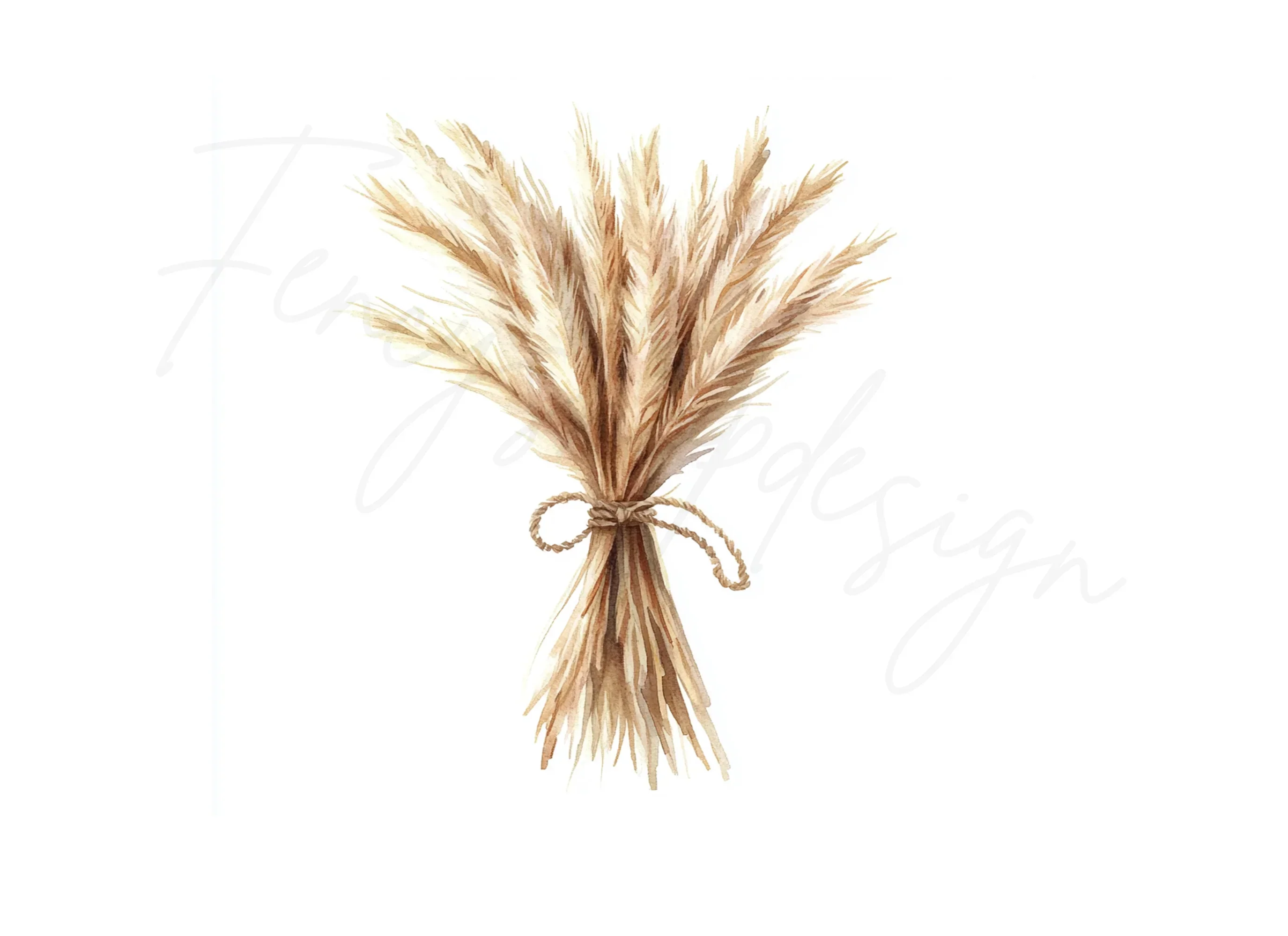 Pampas Grass Bouquets Clipart Bundle - Image 3