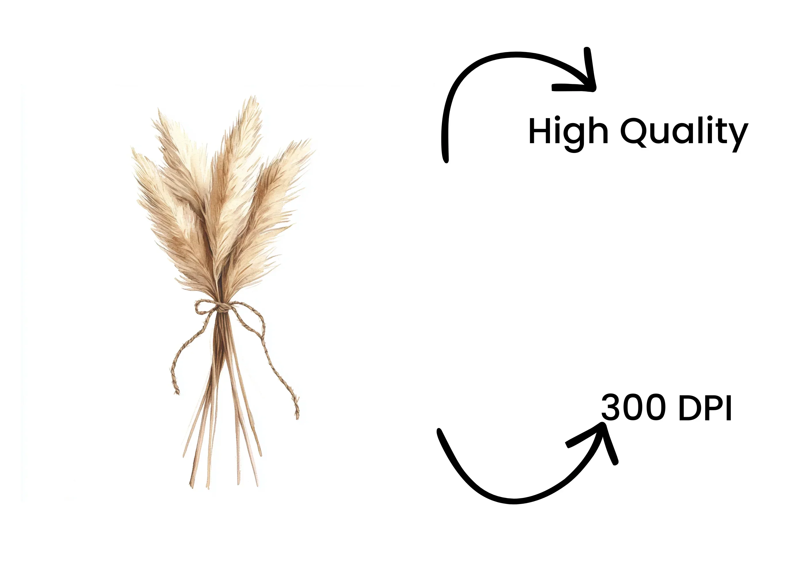 Pampas Grass Bouquets Clipart Bundle - Image 4