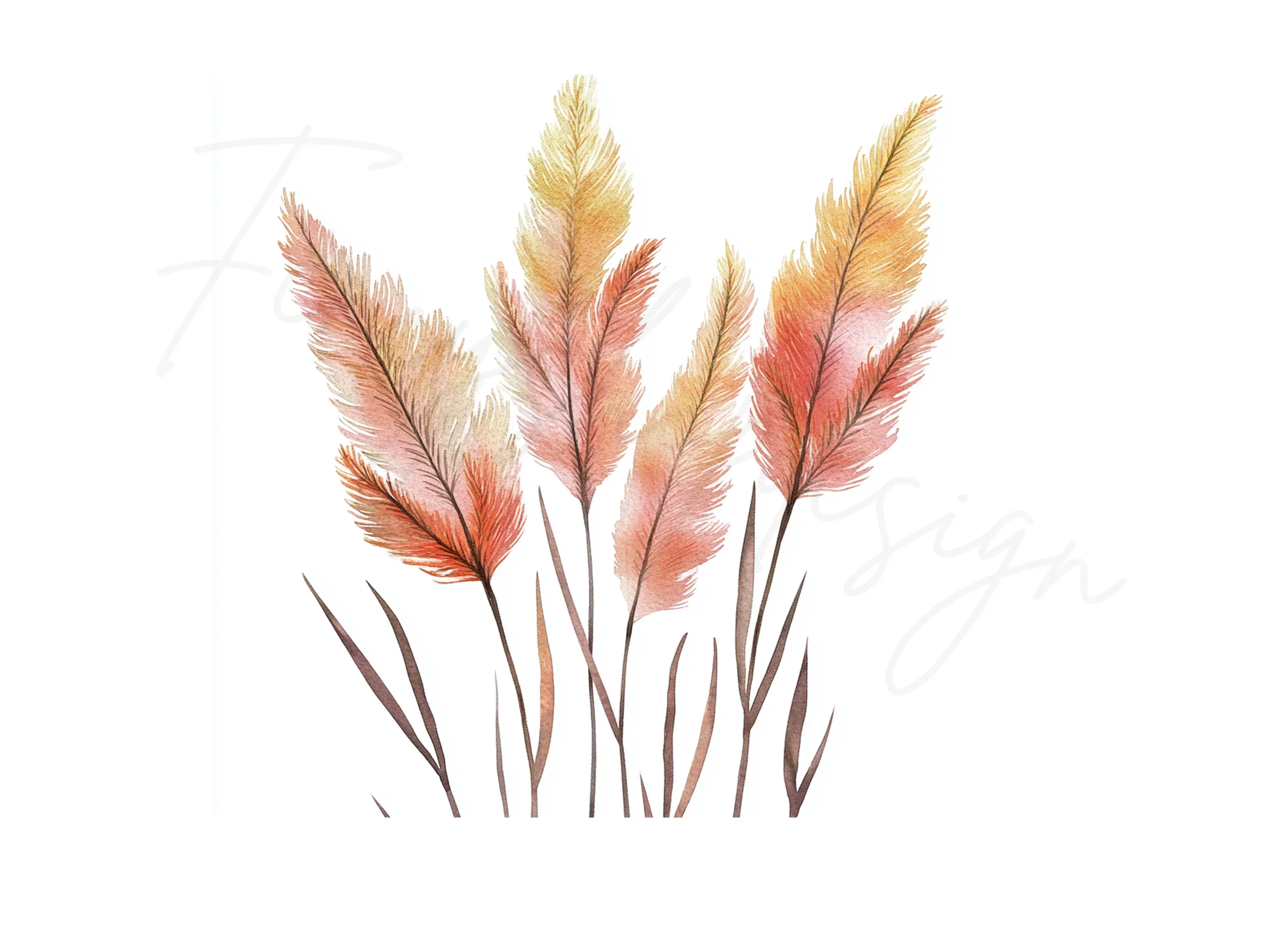 Pampas Grass Clipart Bundle - Image 3