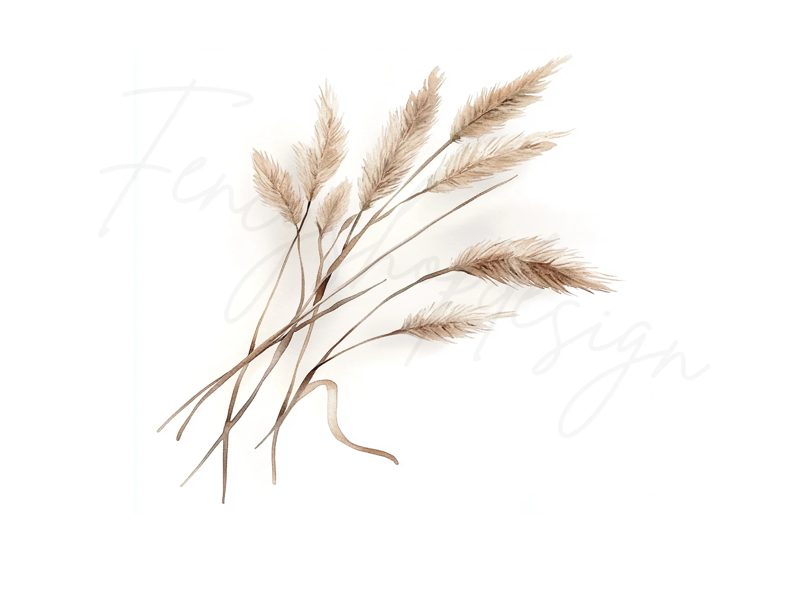 Pampas Grass Clipart Bundle - Image 3
