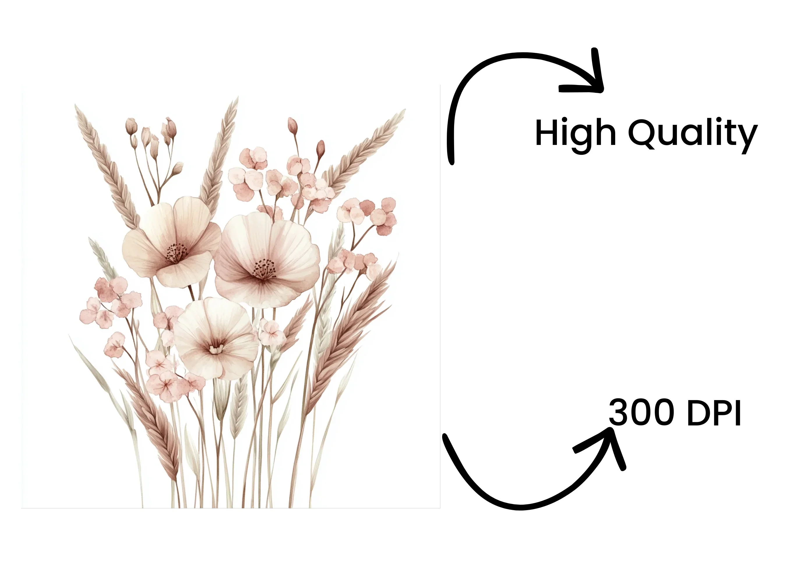Pampas Grass Floral Clipart Bundle - Image 4