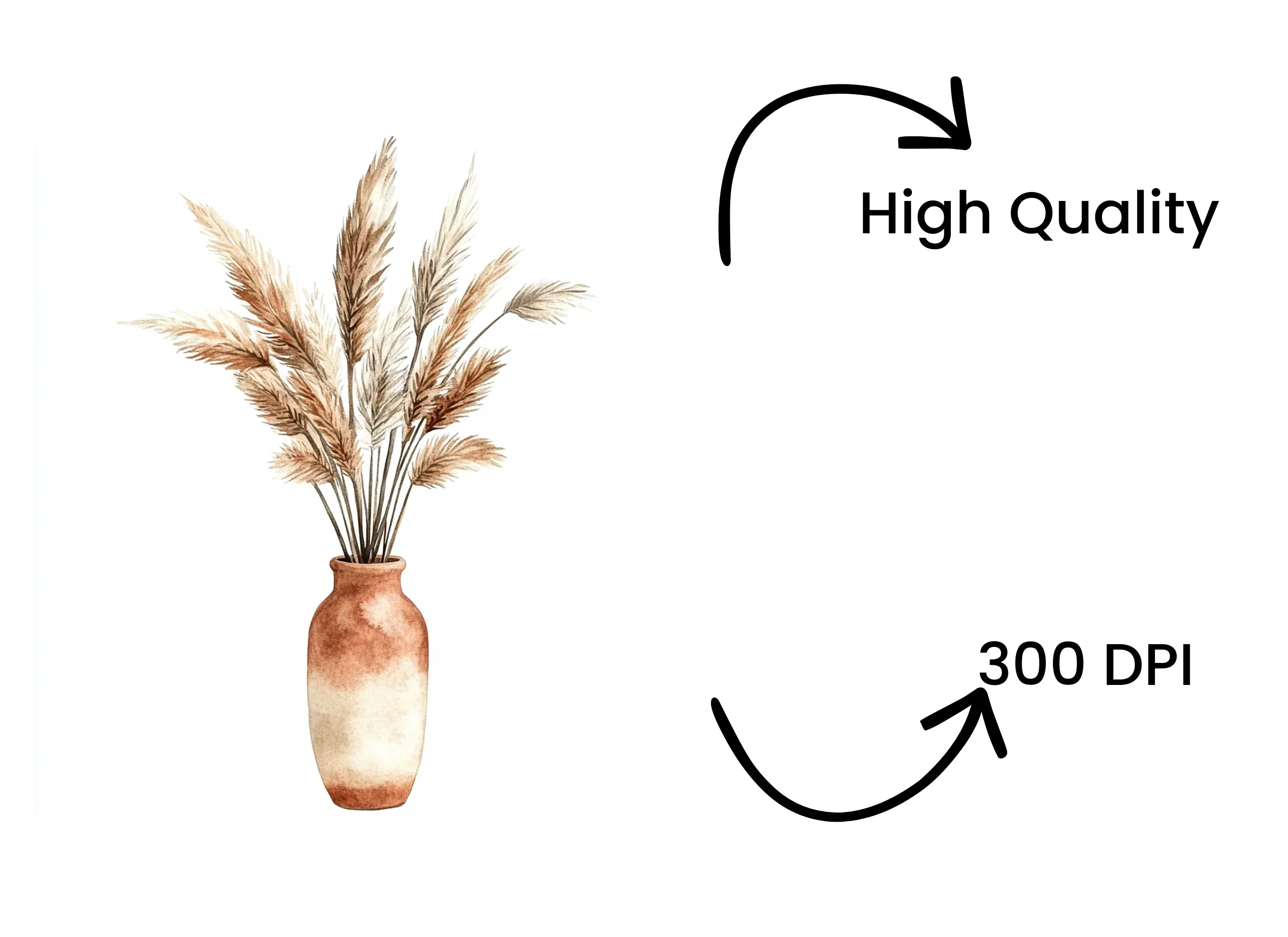 Pampas Grass in Terracotta Vase Clipart Bundle - Image 4
