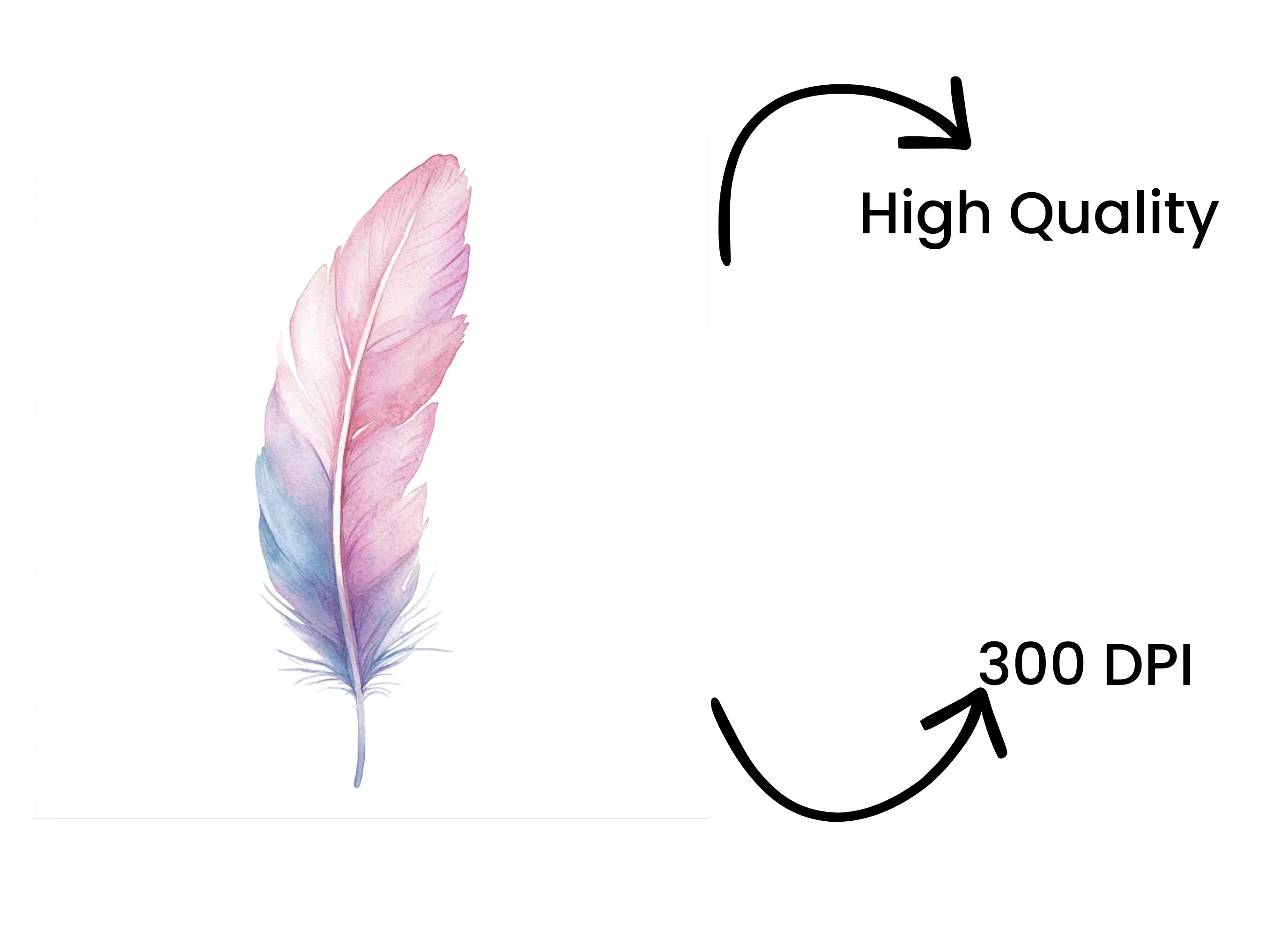 Pastel Feather Clipart Bundle - Image 4