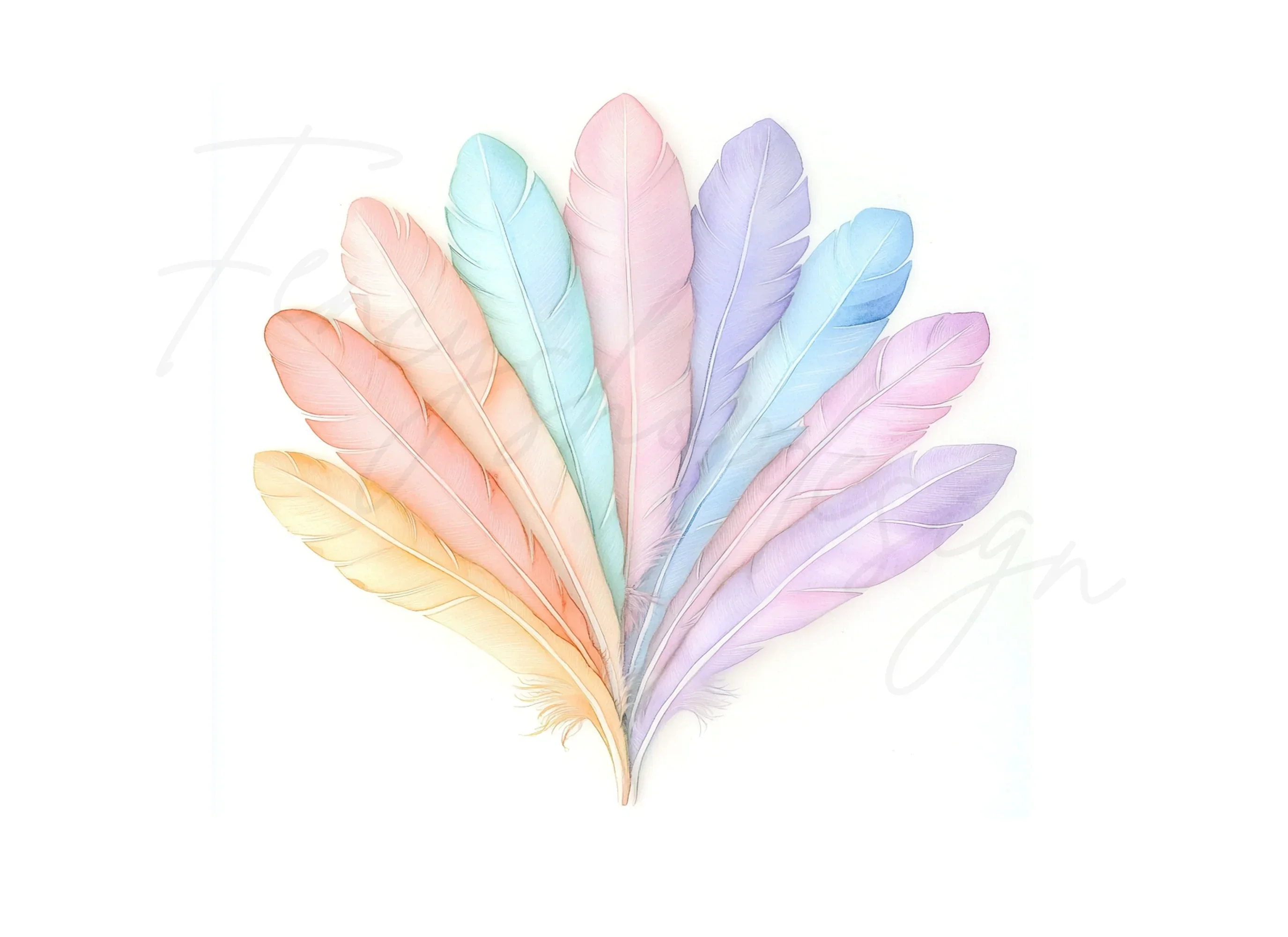 Pastel Feather Fan Clipart Bundle - Image 3