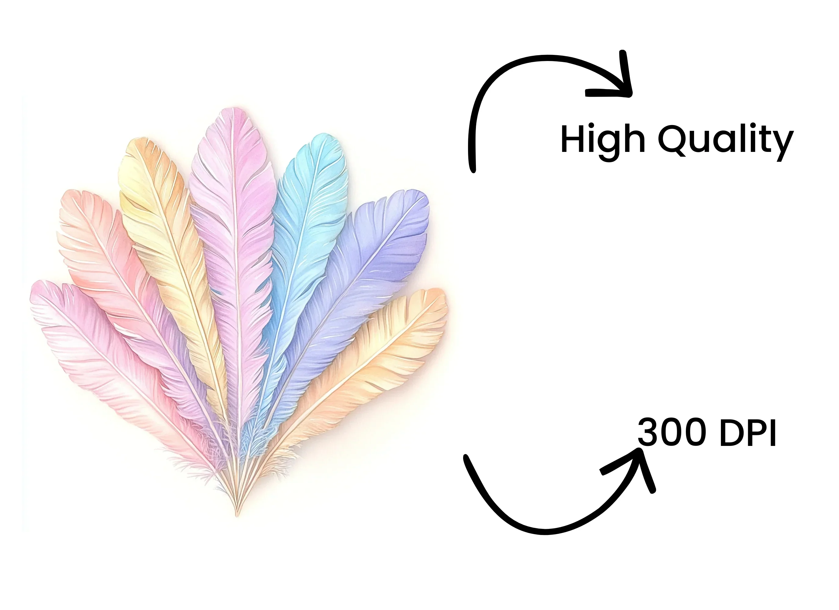 Pastel Feather Fan Clipart Bundle - Image 4