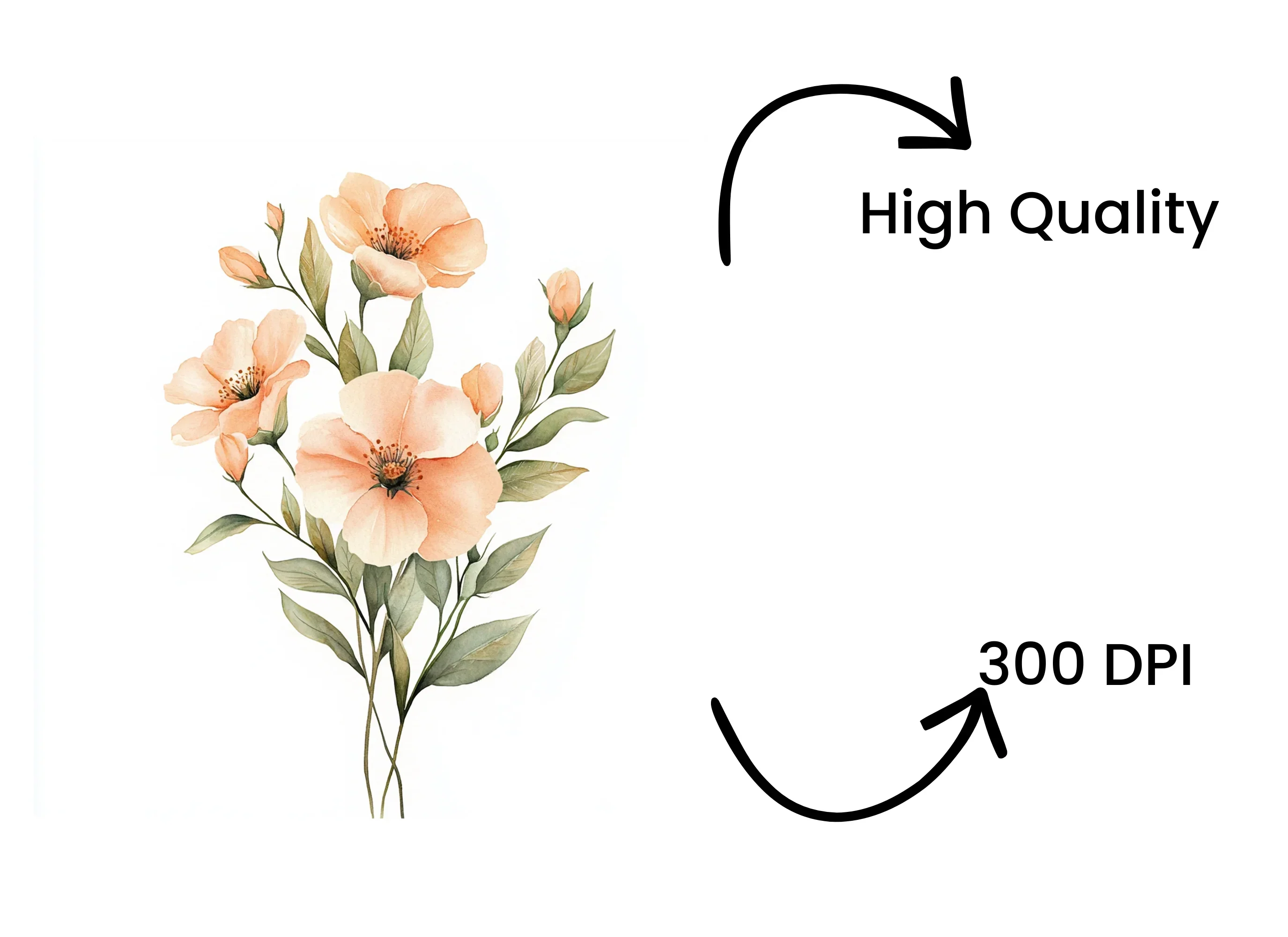 Peach Floral Clipart Bundle - Image 4