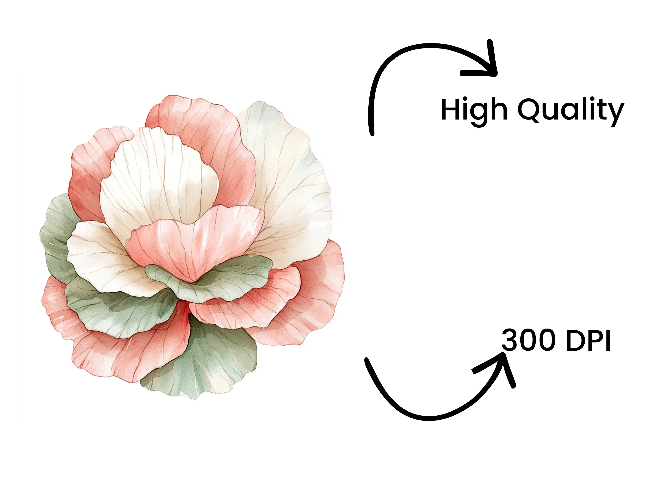 Peach Green Floral Clipart Bundle - Image 4