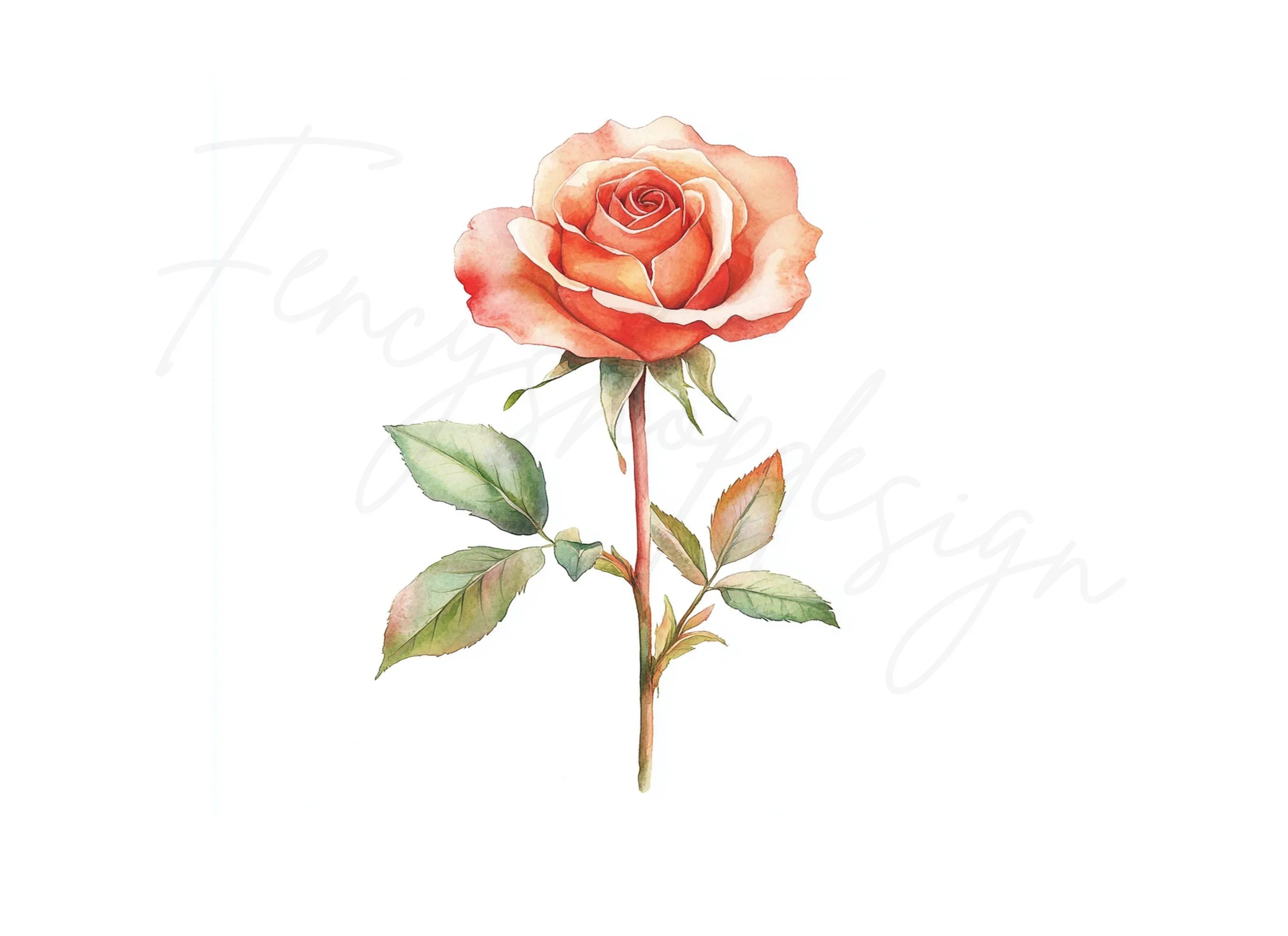 Peach Rose Clipart Bundle - Image 2